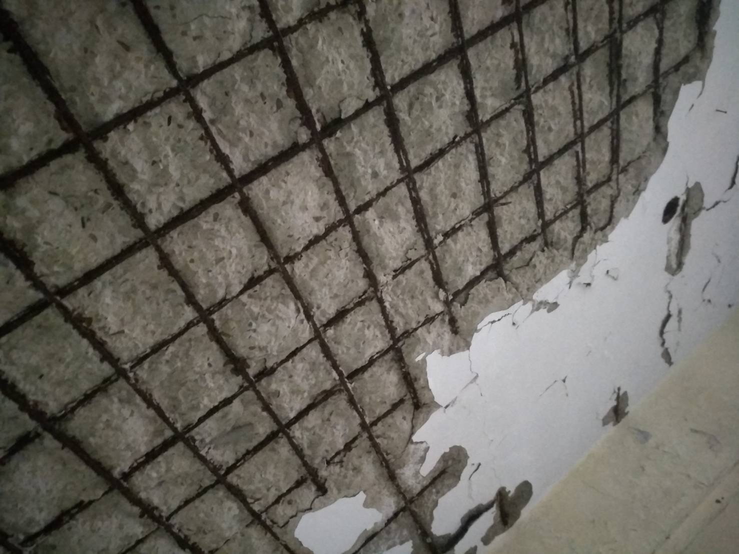 海砂屋內因氯離子過高等問題,天花板的水泥出現大面積脫落。(讀者提供)
