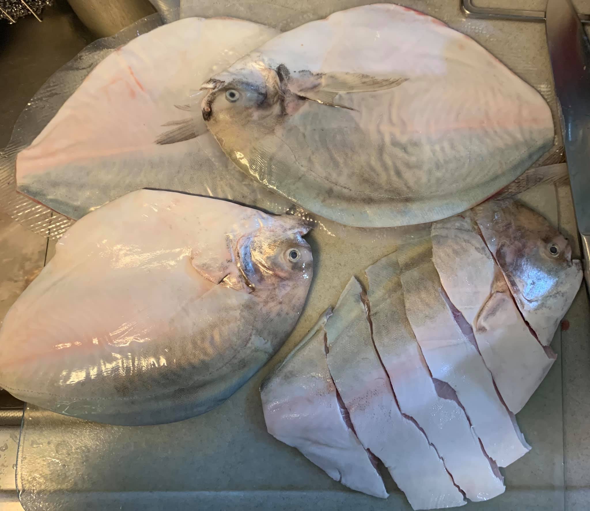 今天準備2尾白鯧魚。