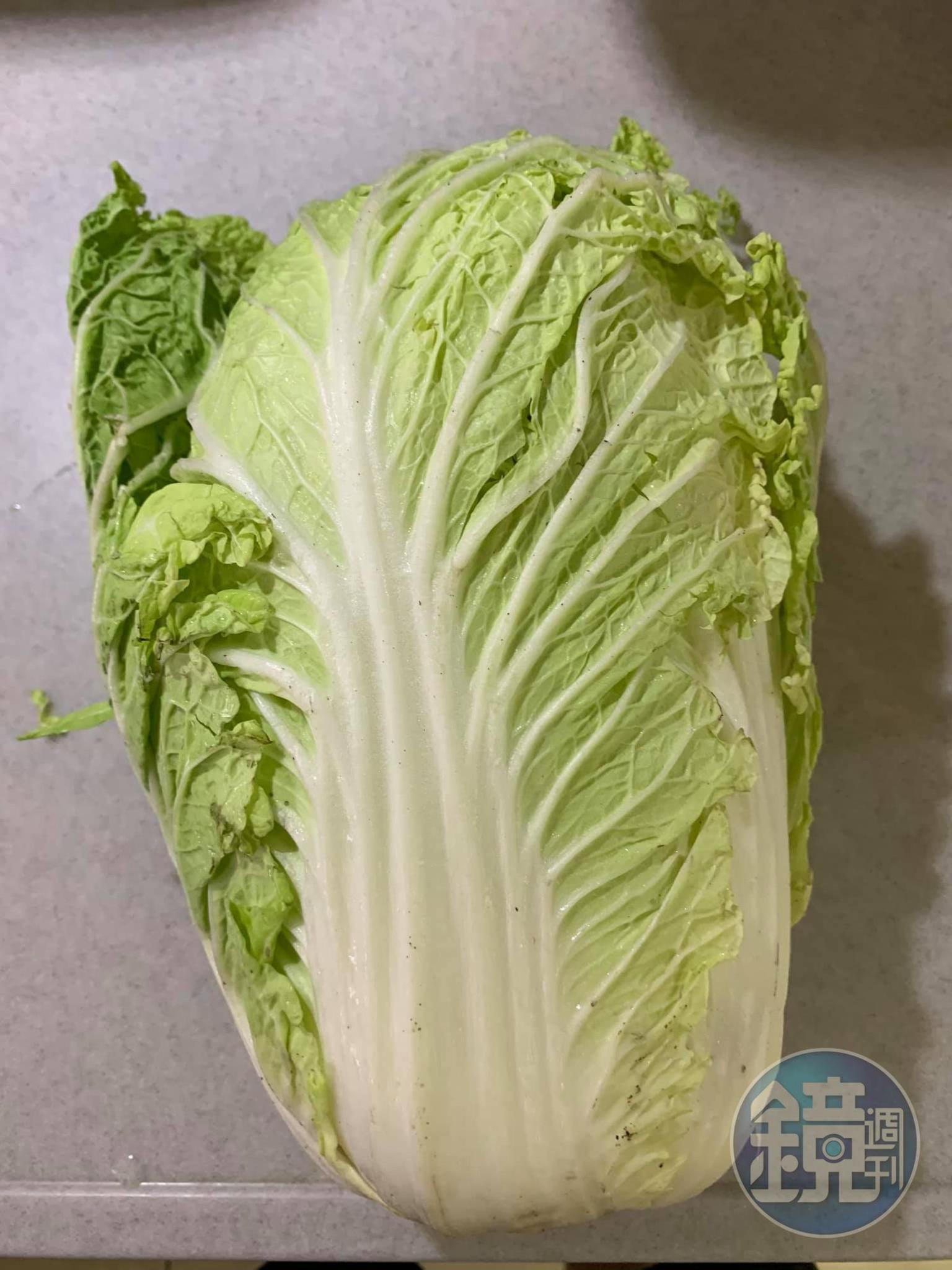 冬日大白菜1顆。