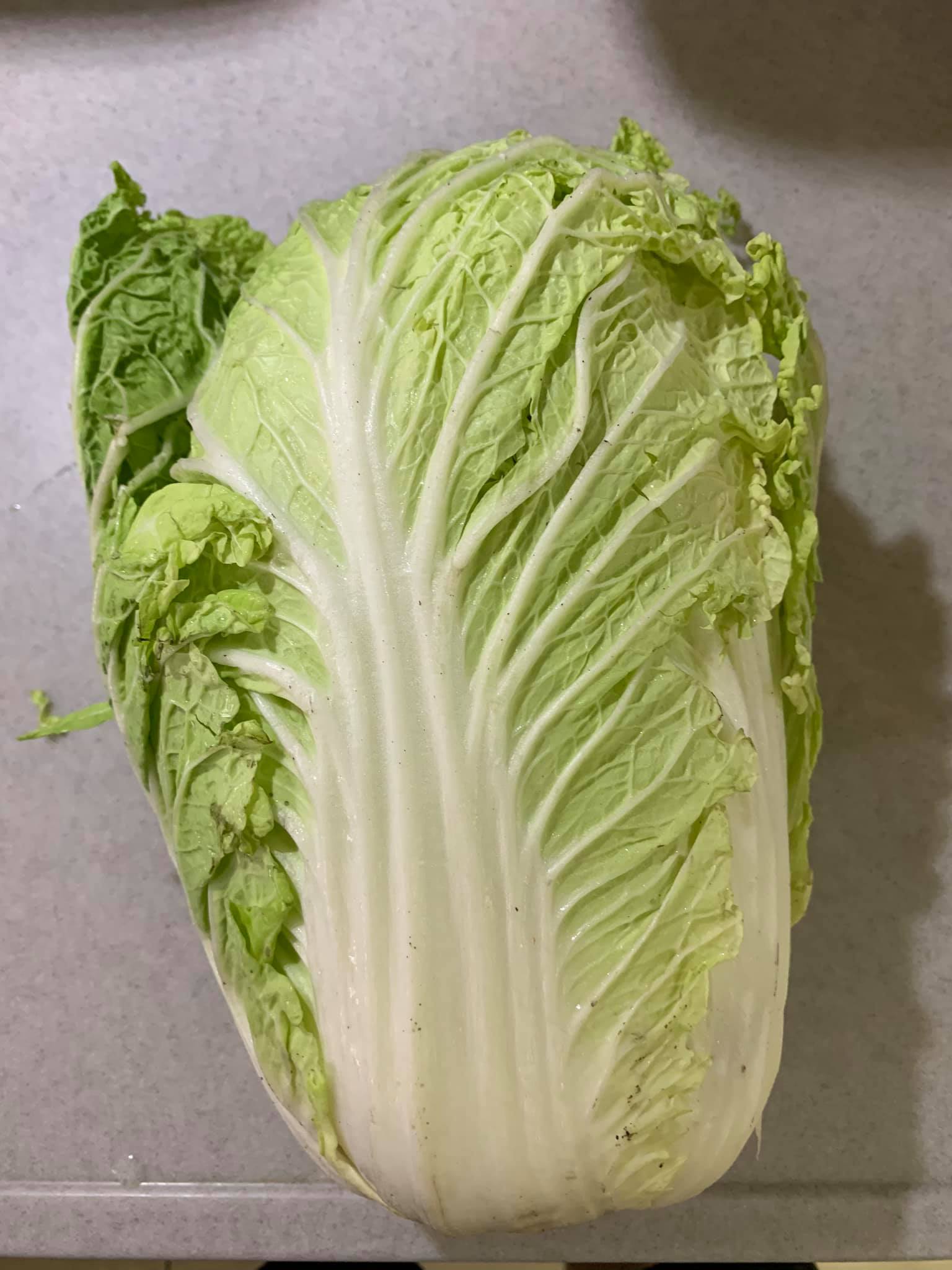 冬日大白菜1顆。