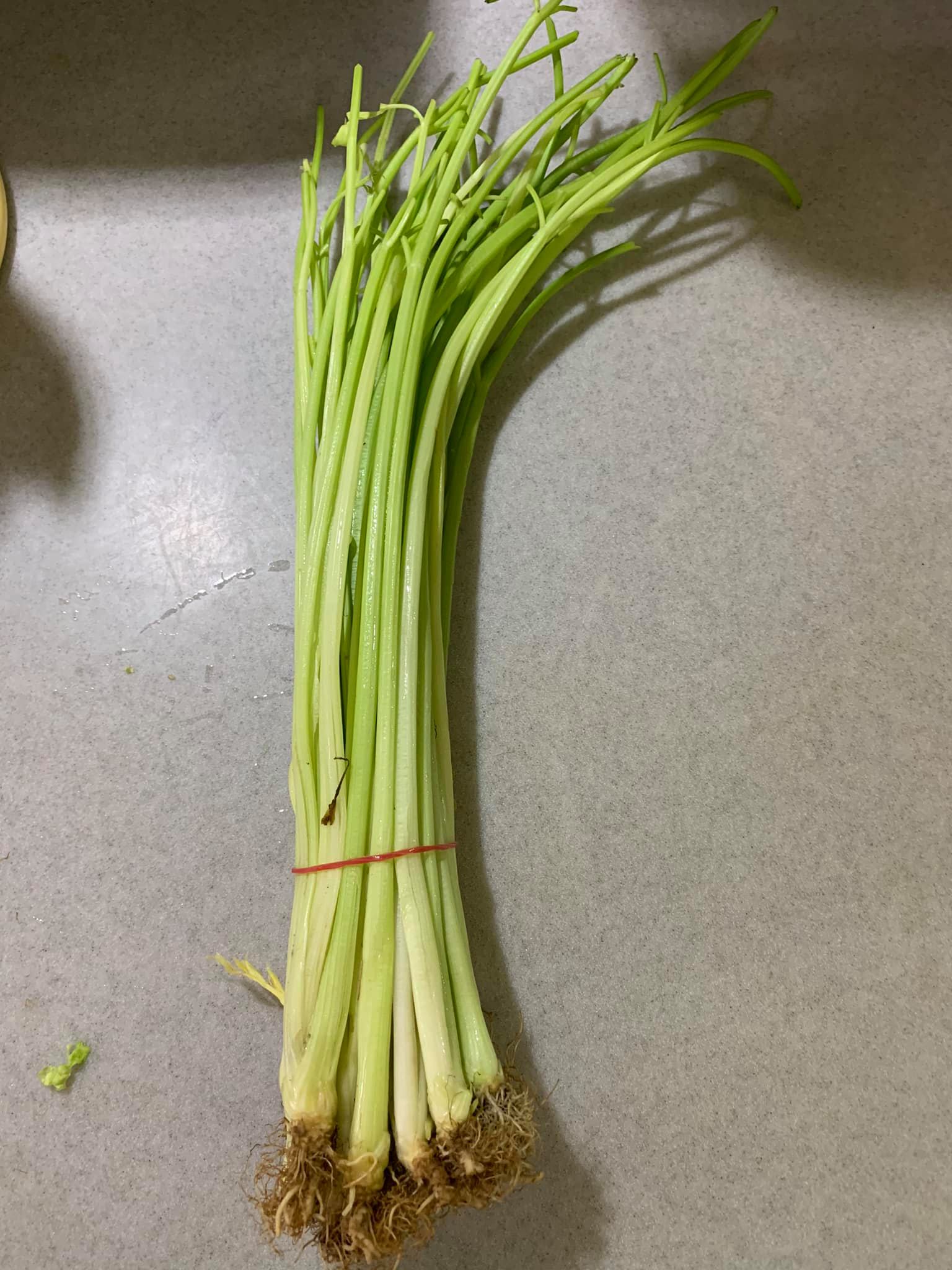 芹菜1把。