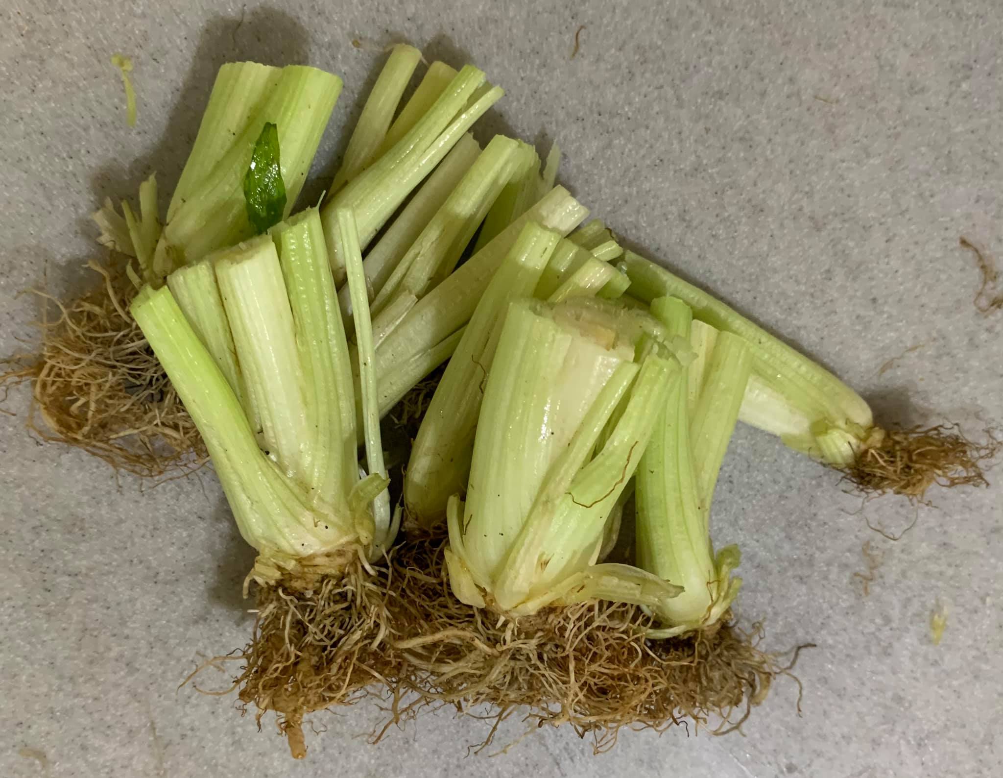 芹菜頭切下煮湯，一點都不浪費。