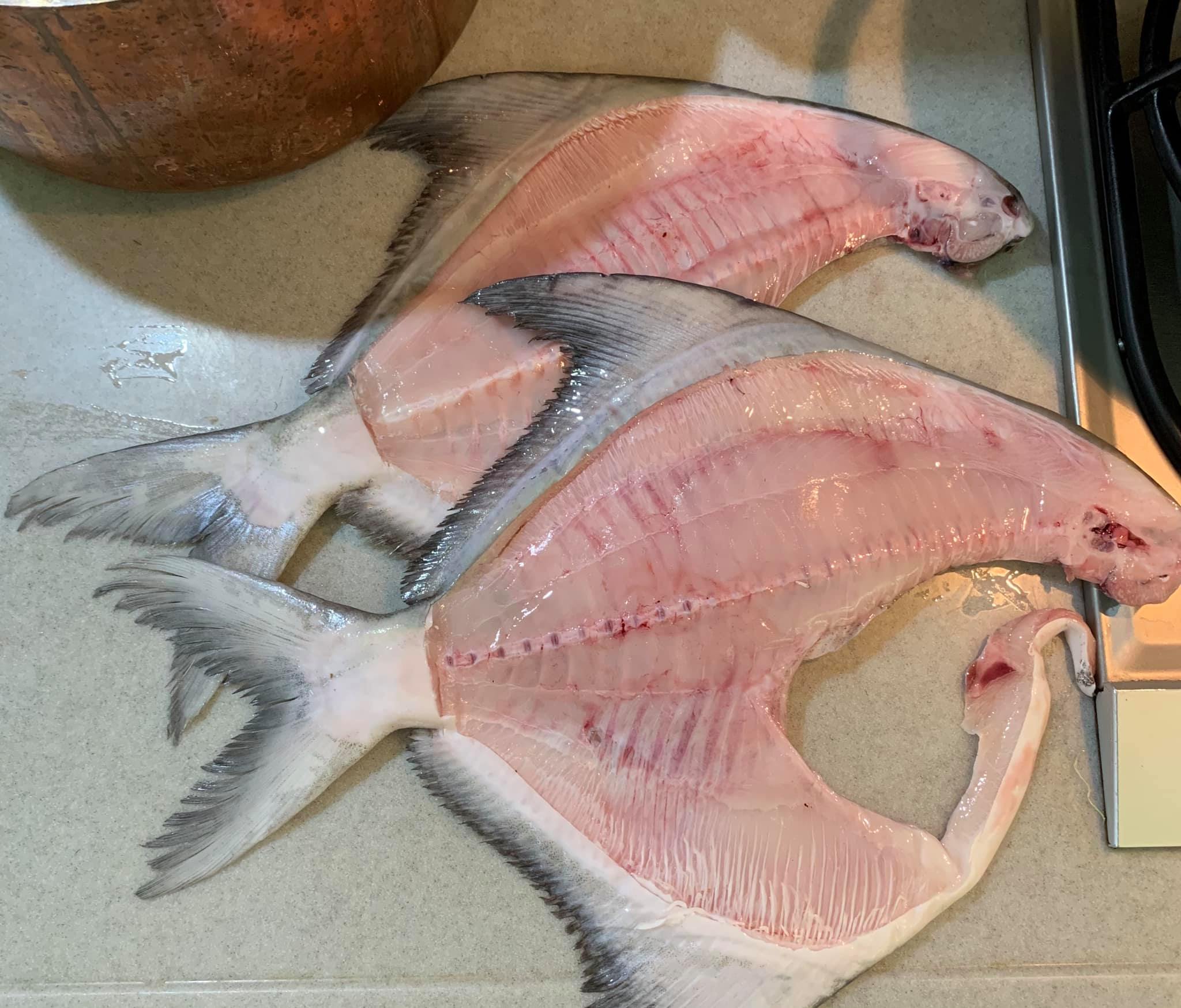 白鯧魚2尾可片出4片肉及這些骨架。