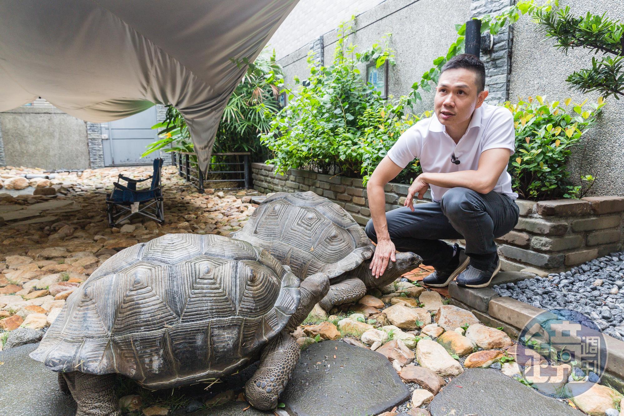 李昆霖和小孩都熱愛動物,他在Booking漫畫店後院養陸龜,天氣好時會陪寵物做日光浴。