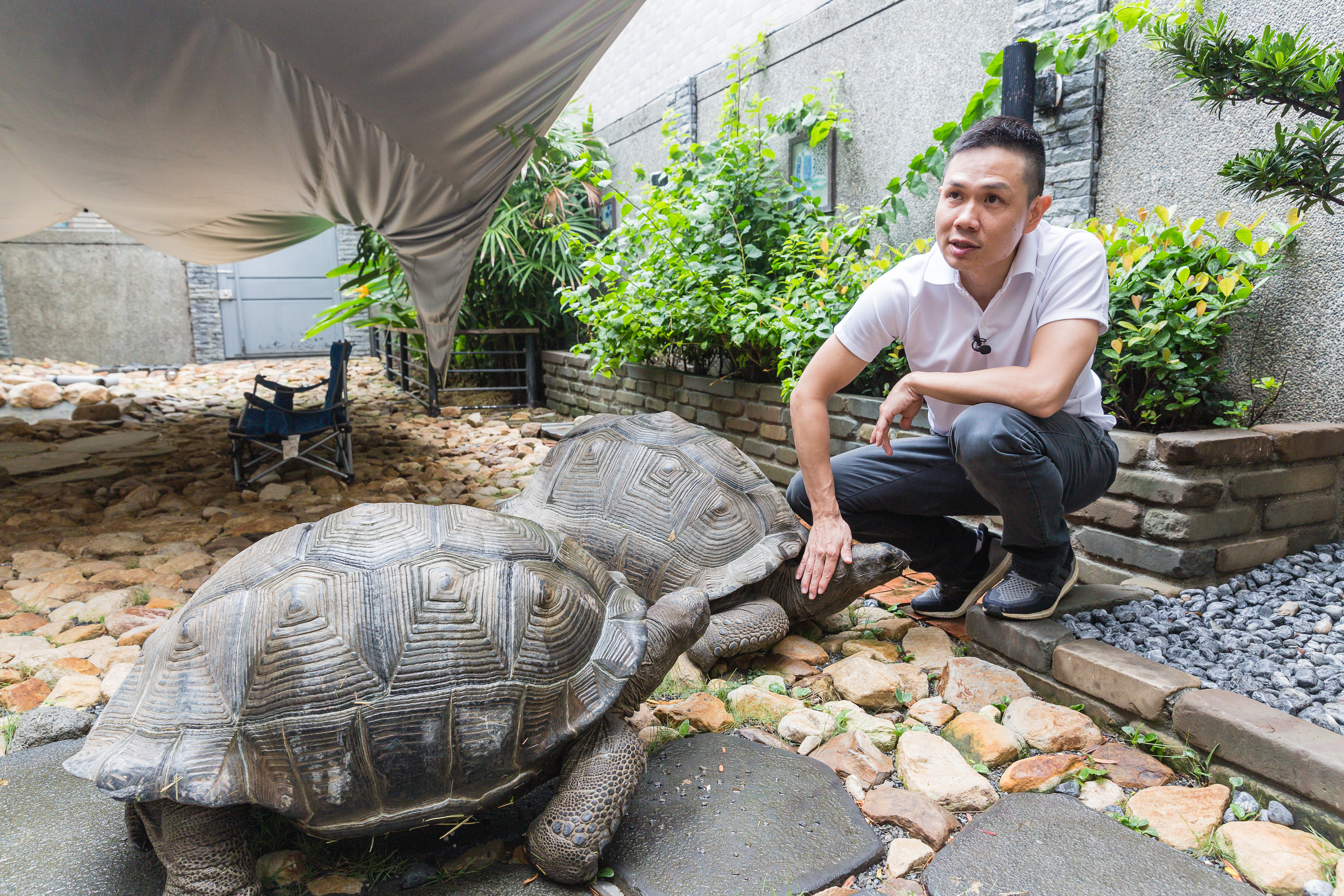 李昆霖和小孩都熱愛動物，他在Booking漫畫店後院養陸龜，天氣好時會陪寵物做日光浴。