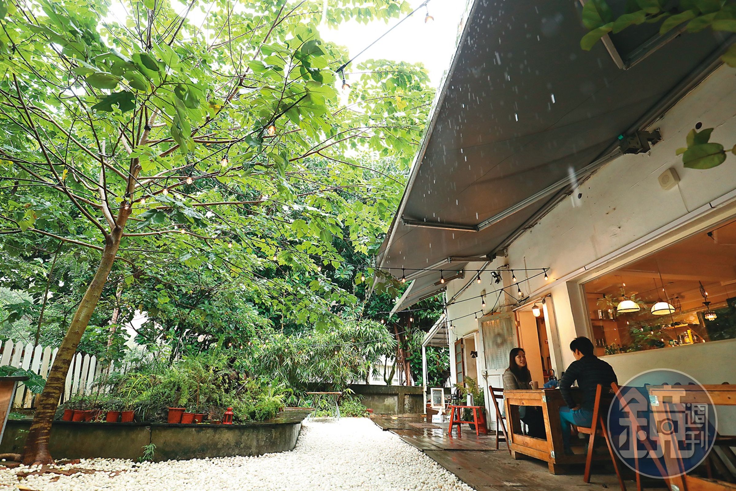 呼嚕小酒館1樓戶外有個廣大的庭院，有如身在叢林中的餐廳用餐。