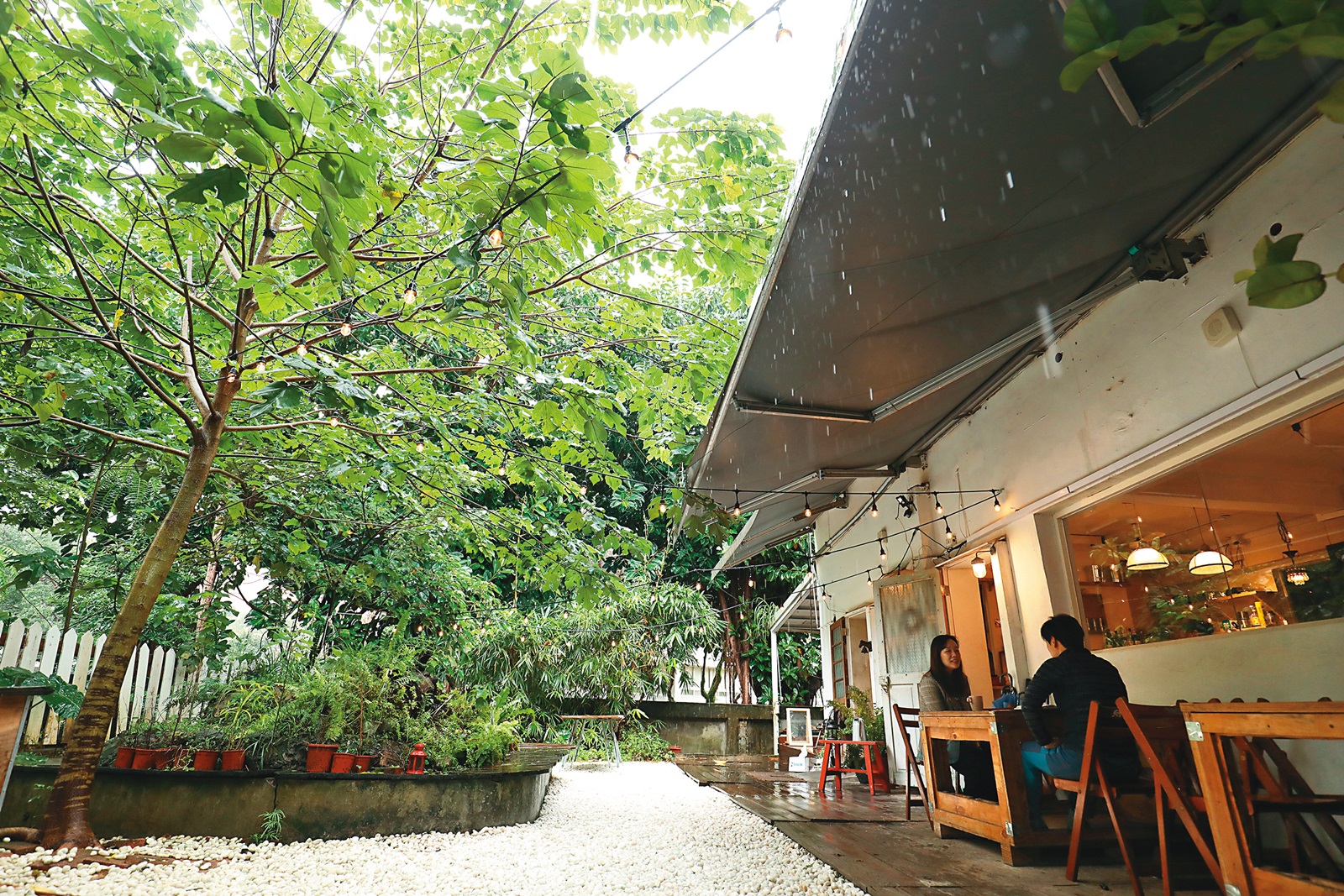 呼嚕小酒館1樓戶外有個廣大的庭院，有如身在叢林中的餐廳用餐。