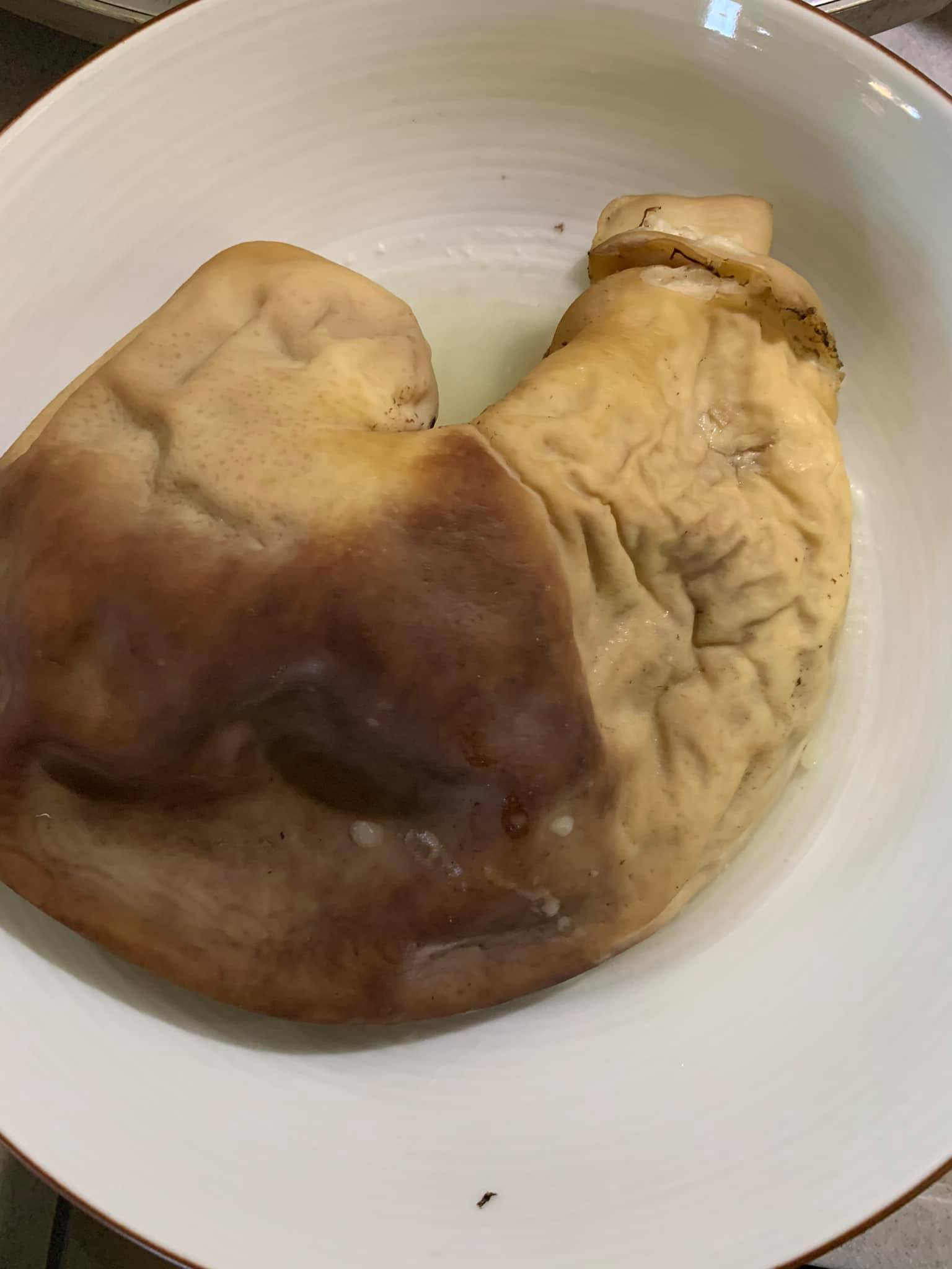 一付豬肚，已煮好。