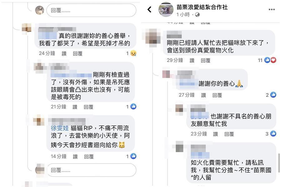 善心網友前往救援,推測被毒死吊掛樹上。(翻攝自「苗栗浪愛結紮合作社」臉書)