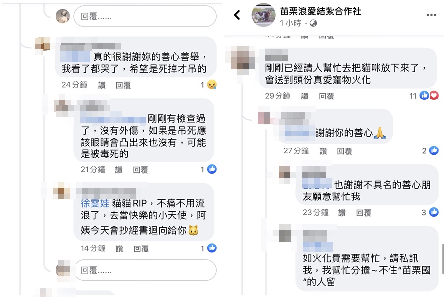 善心網友前往救援,推測被毒死吊掛樹上。(翻攝自「苗栗浪愛結紮合作社」臉書)