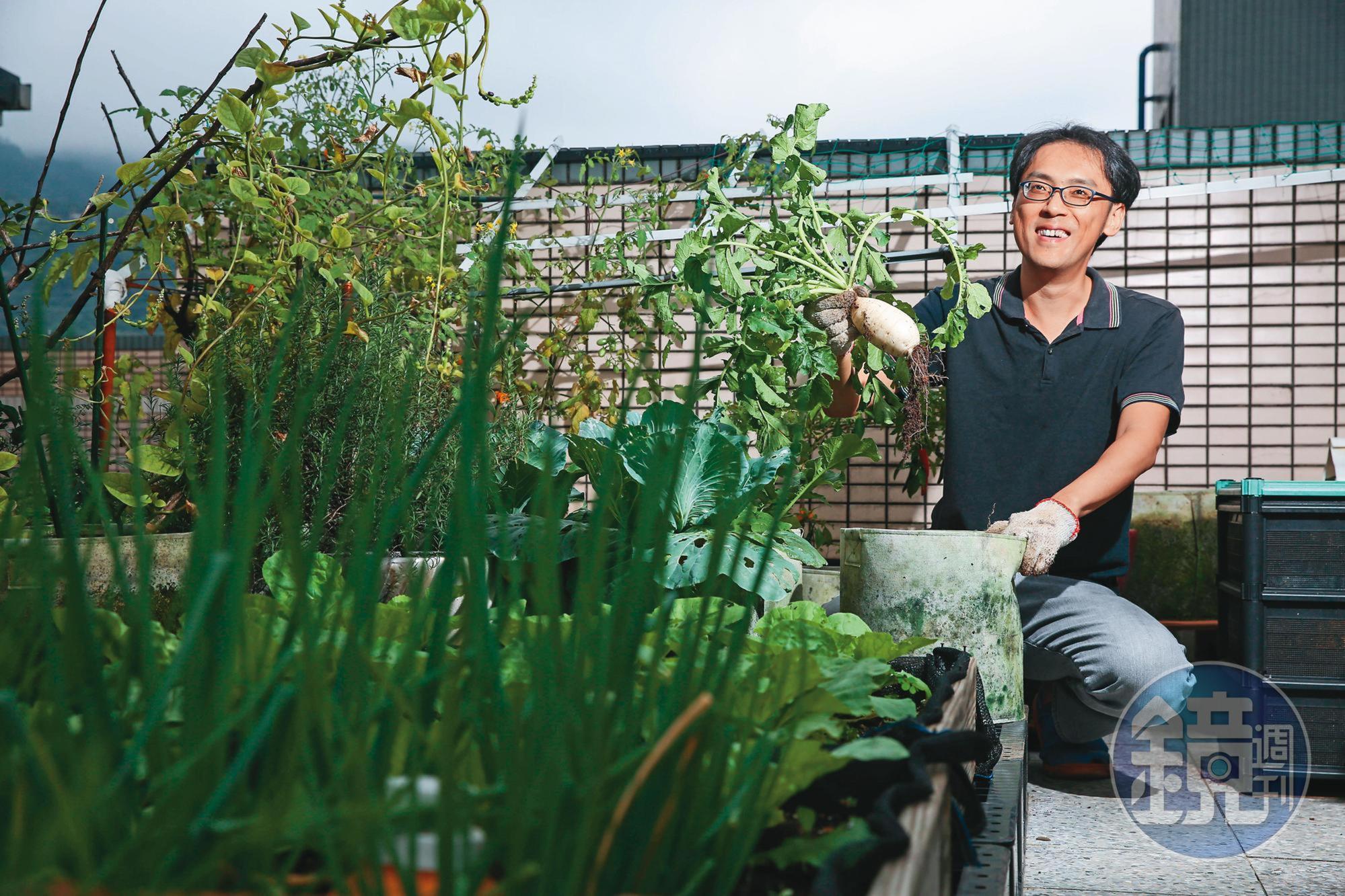 年領百萬元息收的喬飛，2019年退休後過著愜意生活，菜園是他的小天地。