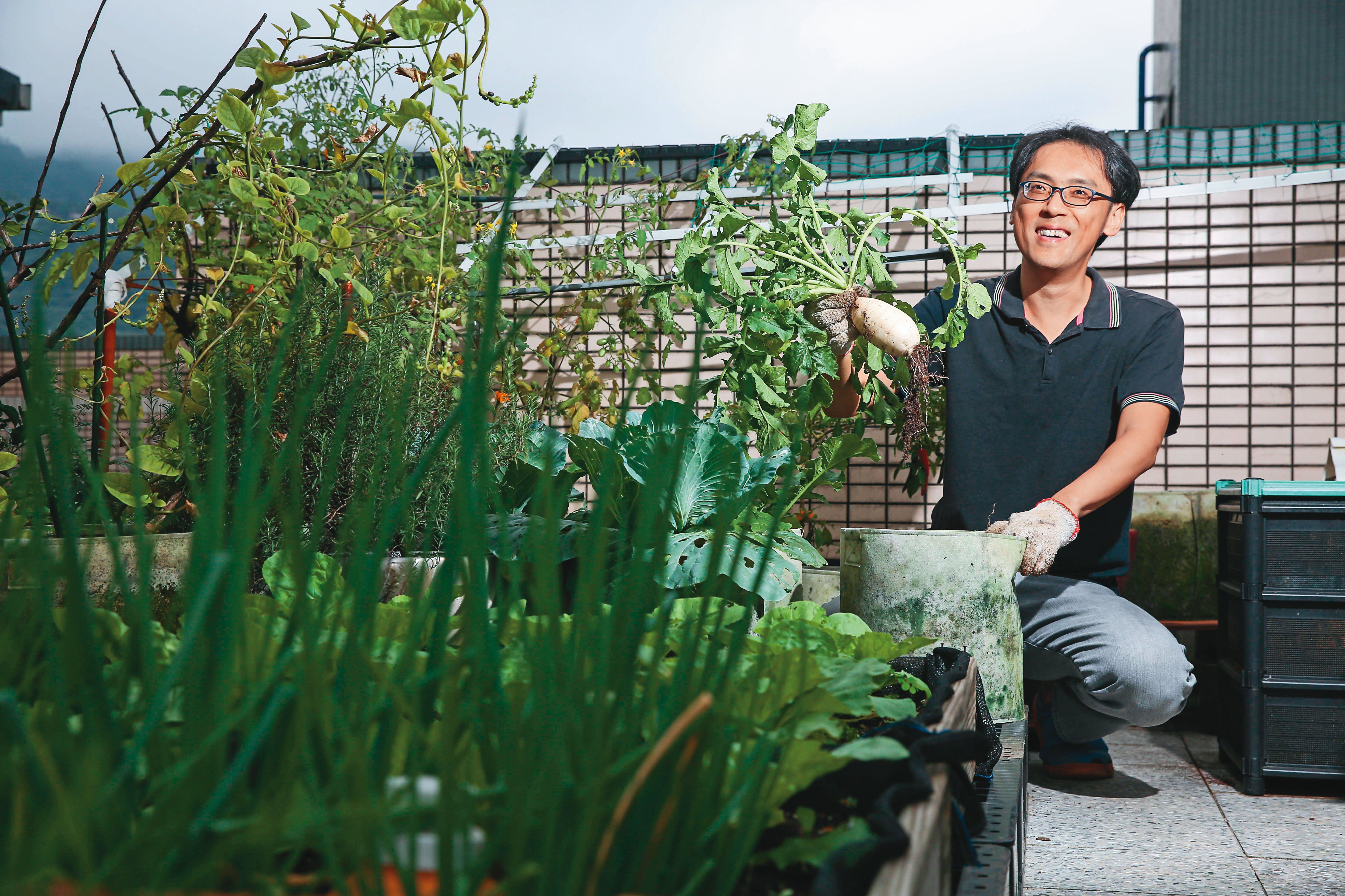 年領百萬元息收的喬飛，2019年退休後過著愜意生活，菜園是他的小天地。