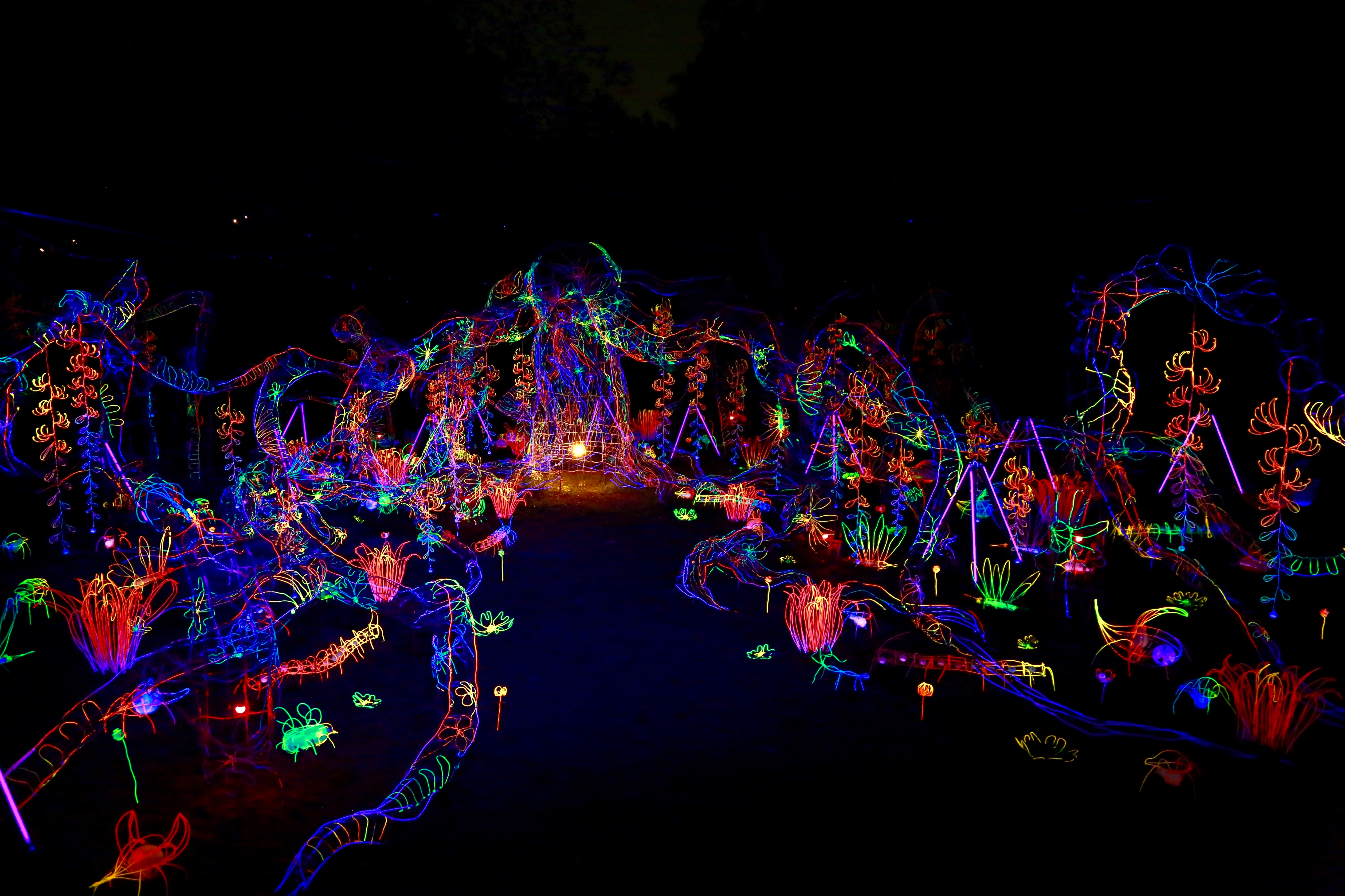 台南龍崎空山祭即將登場，《流光樹林：團聚》打造光之森林。（台南文化局提供）