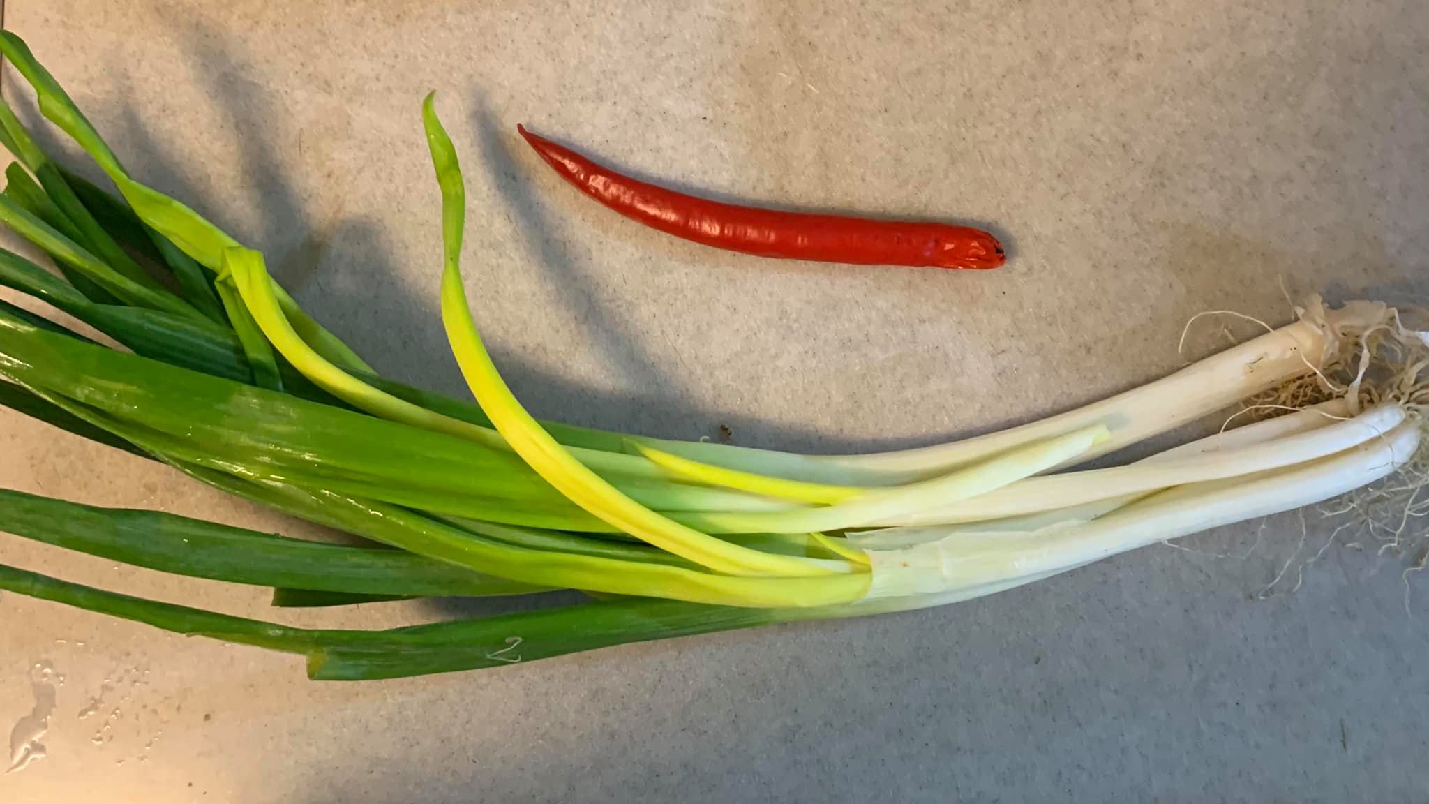 裝飾用的青蔥與辣椒。