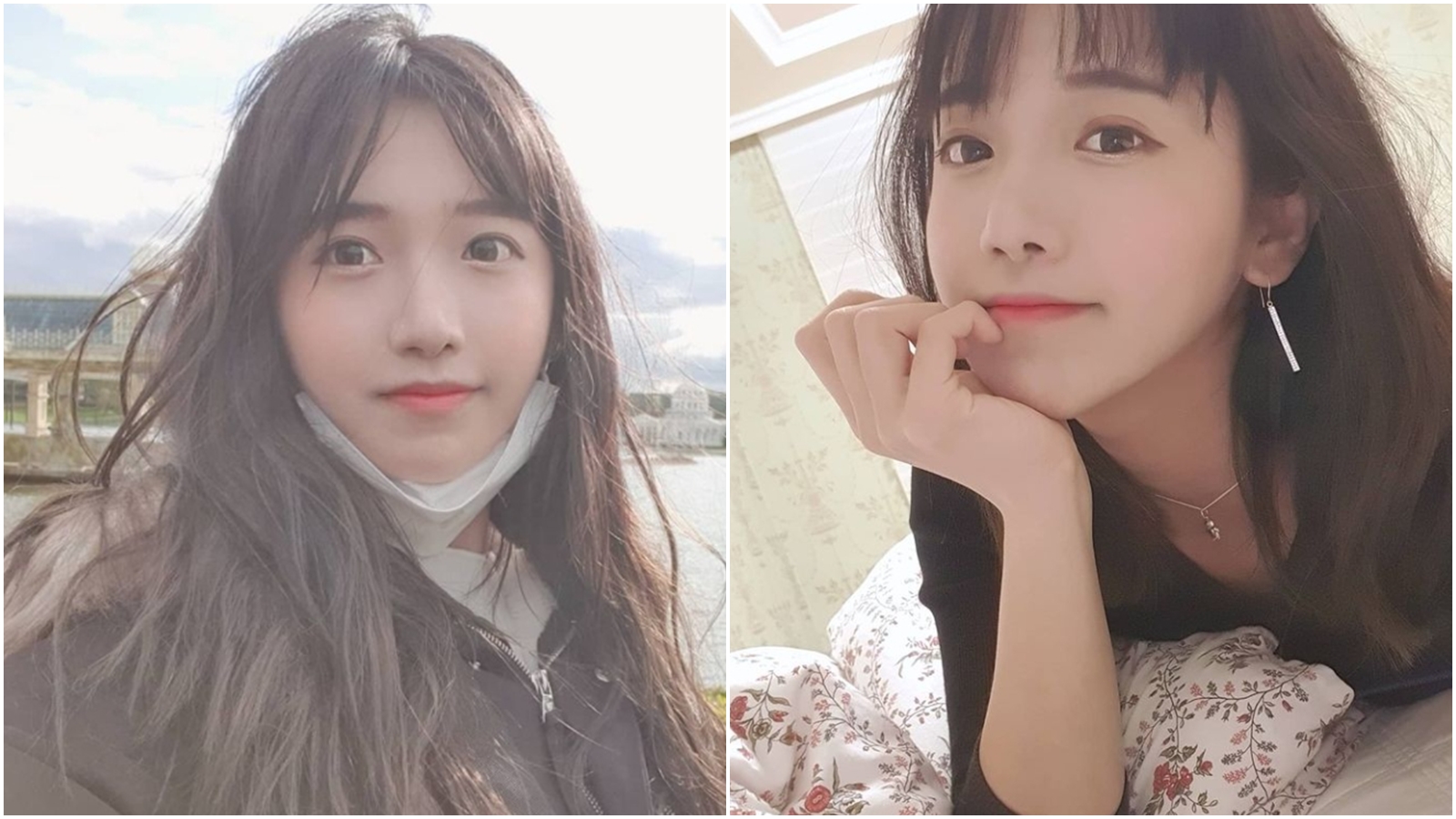 企鵝妹轉戰美國依舊獲得當地超高人氣。（翻攝自企鵝妹Instagram）