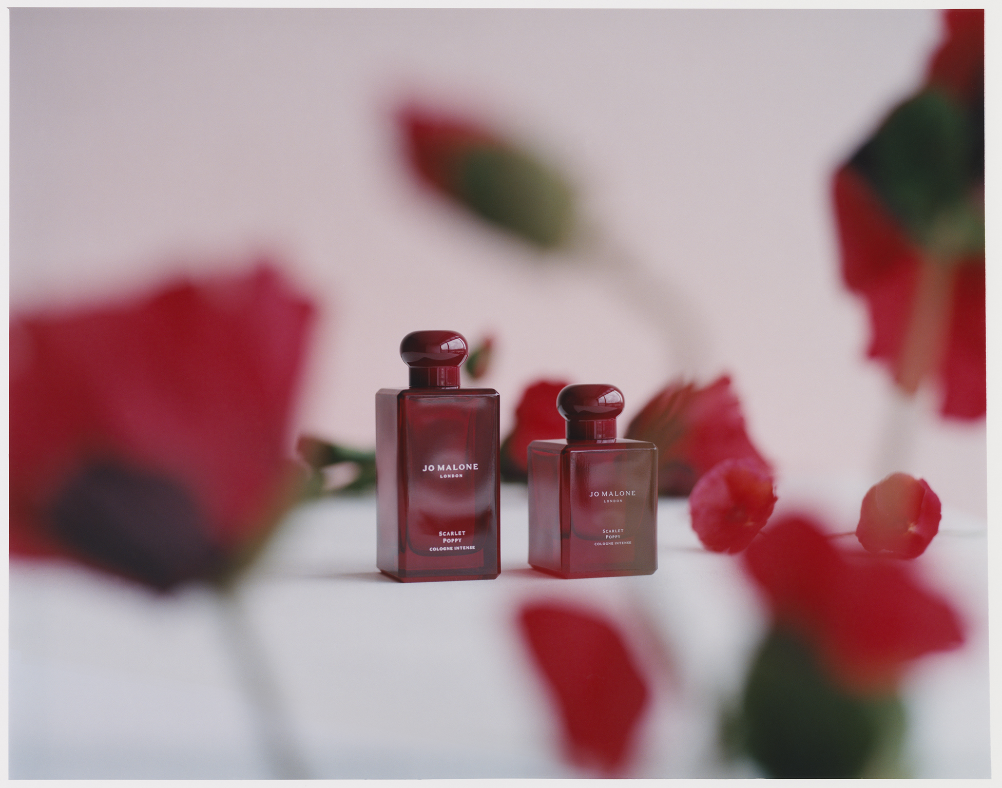緋紅罌粟芳醇香水。50ml／NT$4,750，100ml／NT$6,900（Jo Malone London提供）