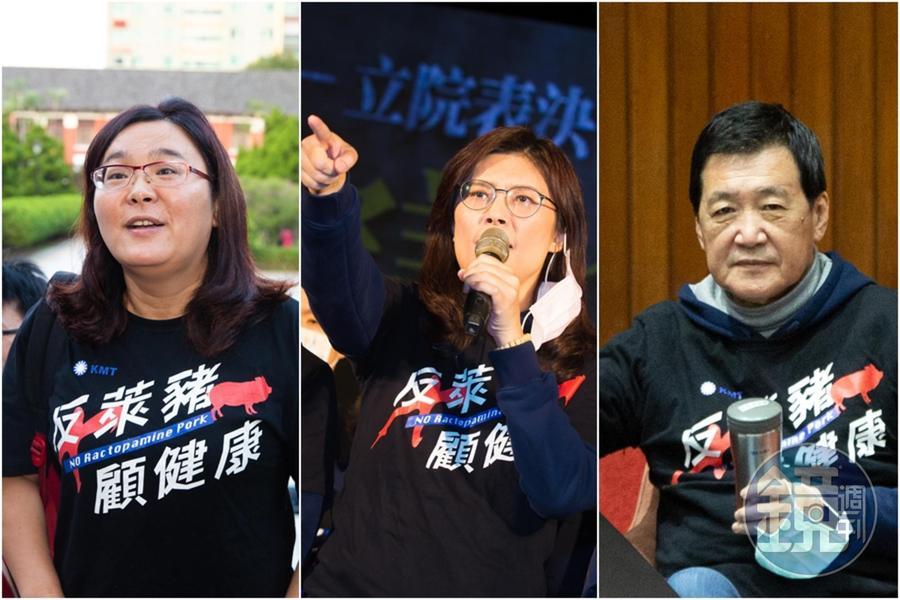 國民黨新任黨團幹部,由立委費鴻泰(右)接任總召、鄭麗文(中)升任書記長、陳玉珍(左)接任首席副書記長。(本刊資料照)