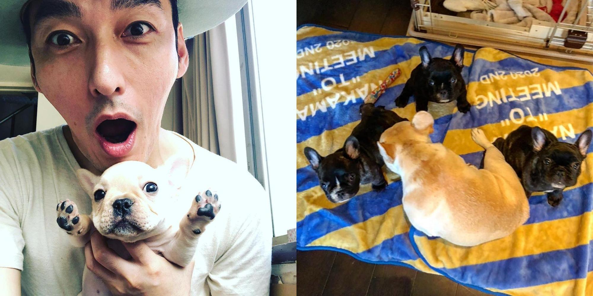 草彅剛以愛犬Kurumi生日做為結婚紀念日。（翻攝草彅剛IG）