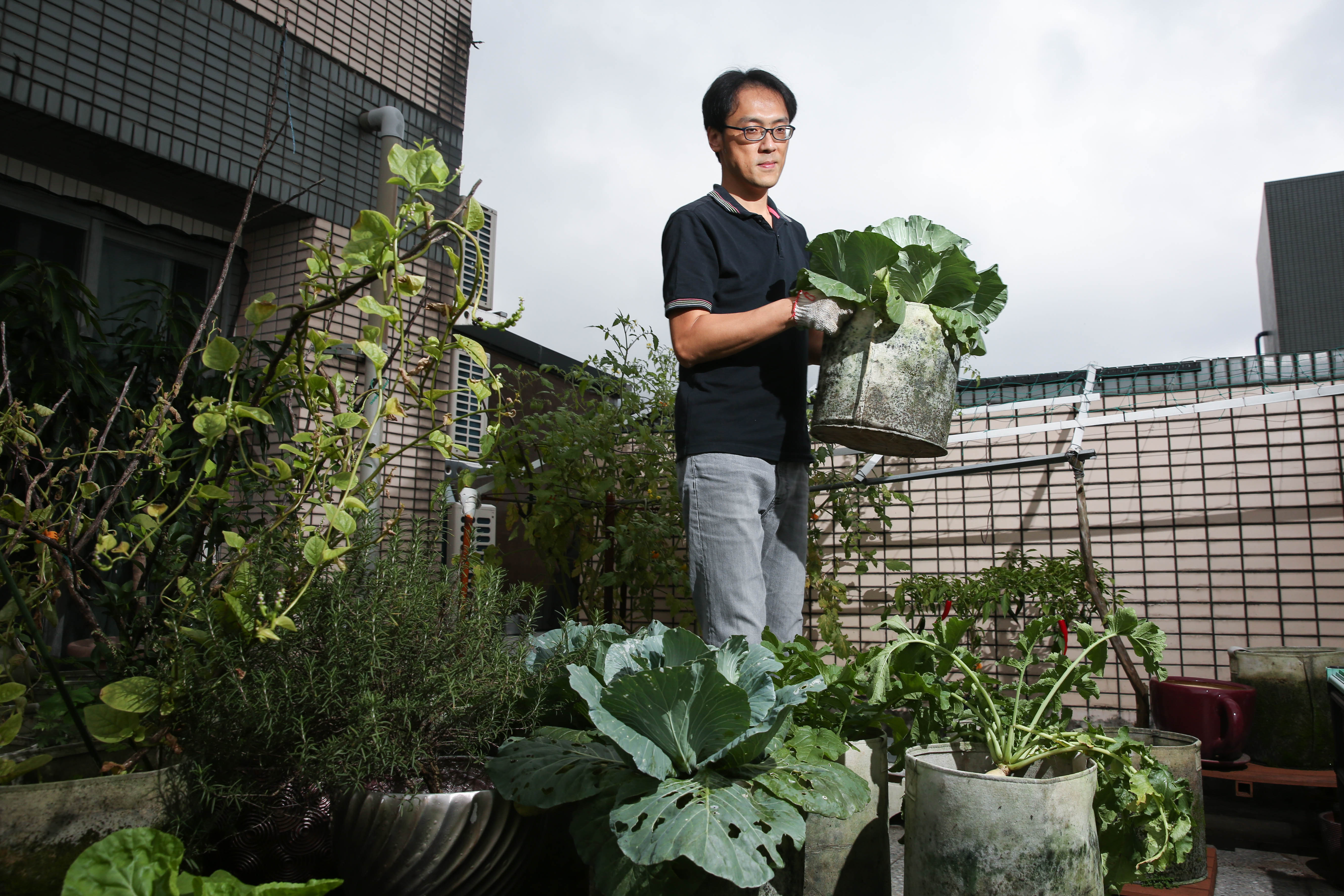 年領百萬息收的喬飛，退休後過上愜意的生活，菜園是他的小天地。