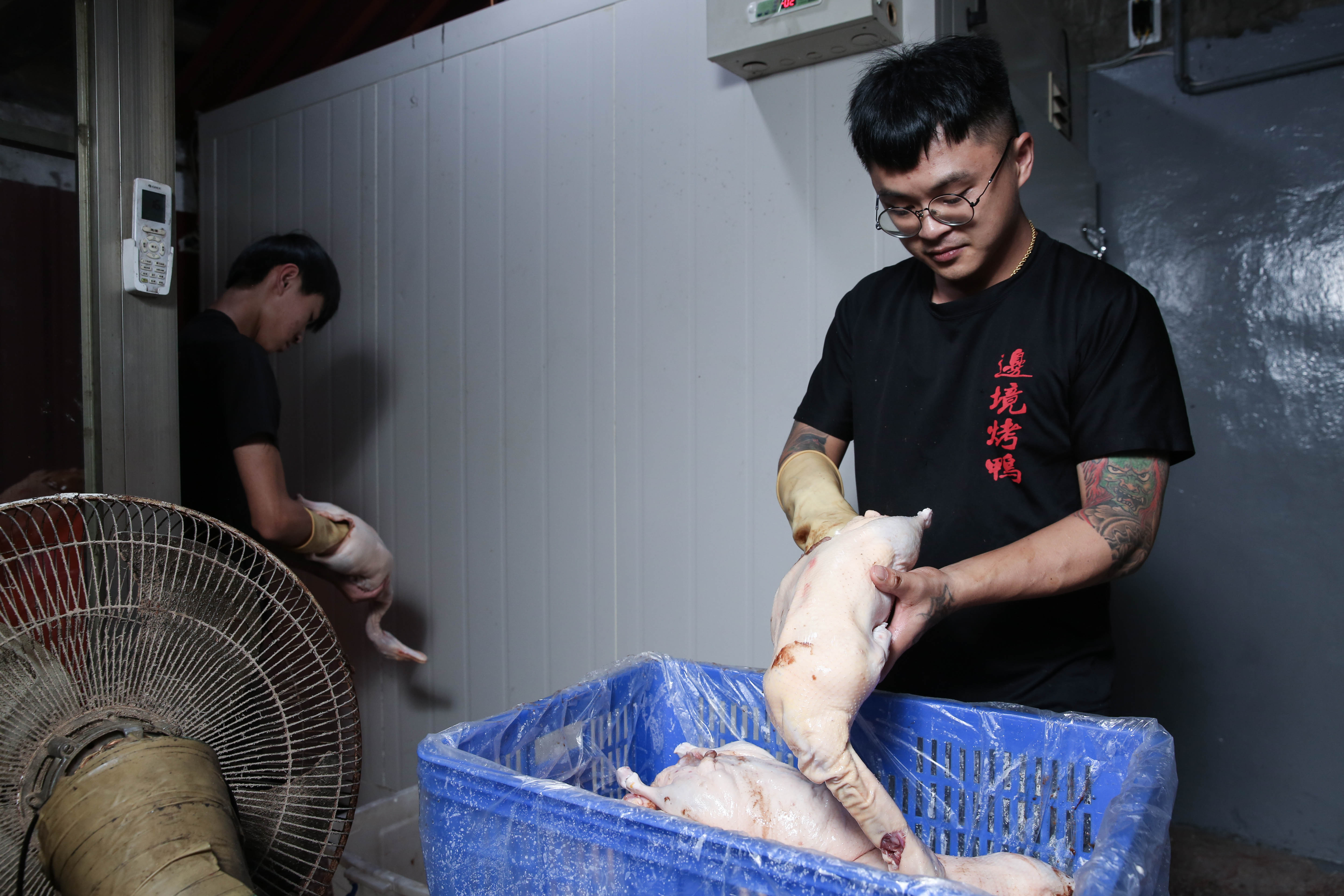 每一隻烤鴨肚子裡得塞進中藥材,按摩後冷藏靜置8小時待醃料入味。