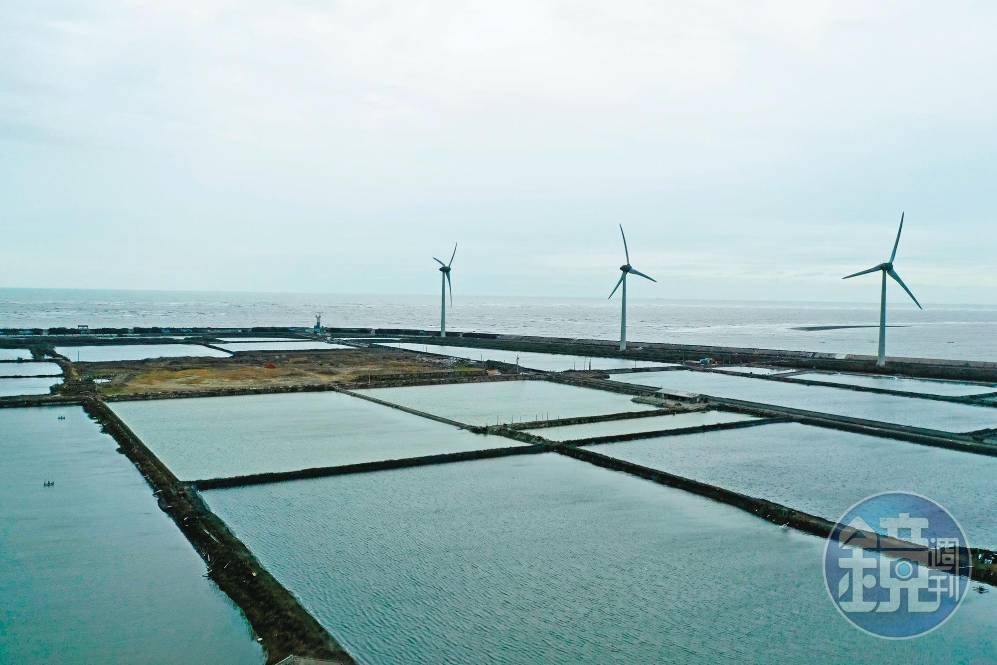 王功蚵仔遠近馳名,養殖區旁卻遭人傾倒廢棄物,恐危及養殖戶與消費者權益。