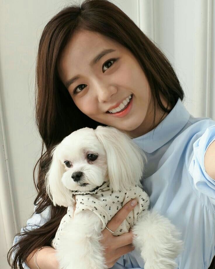 粉絲為Jisoo的愛犬Dalgom也準備了禮物。(網路圖片)