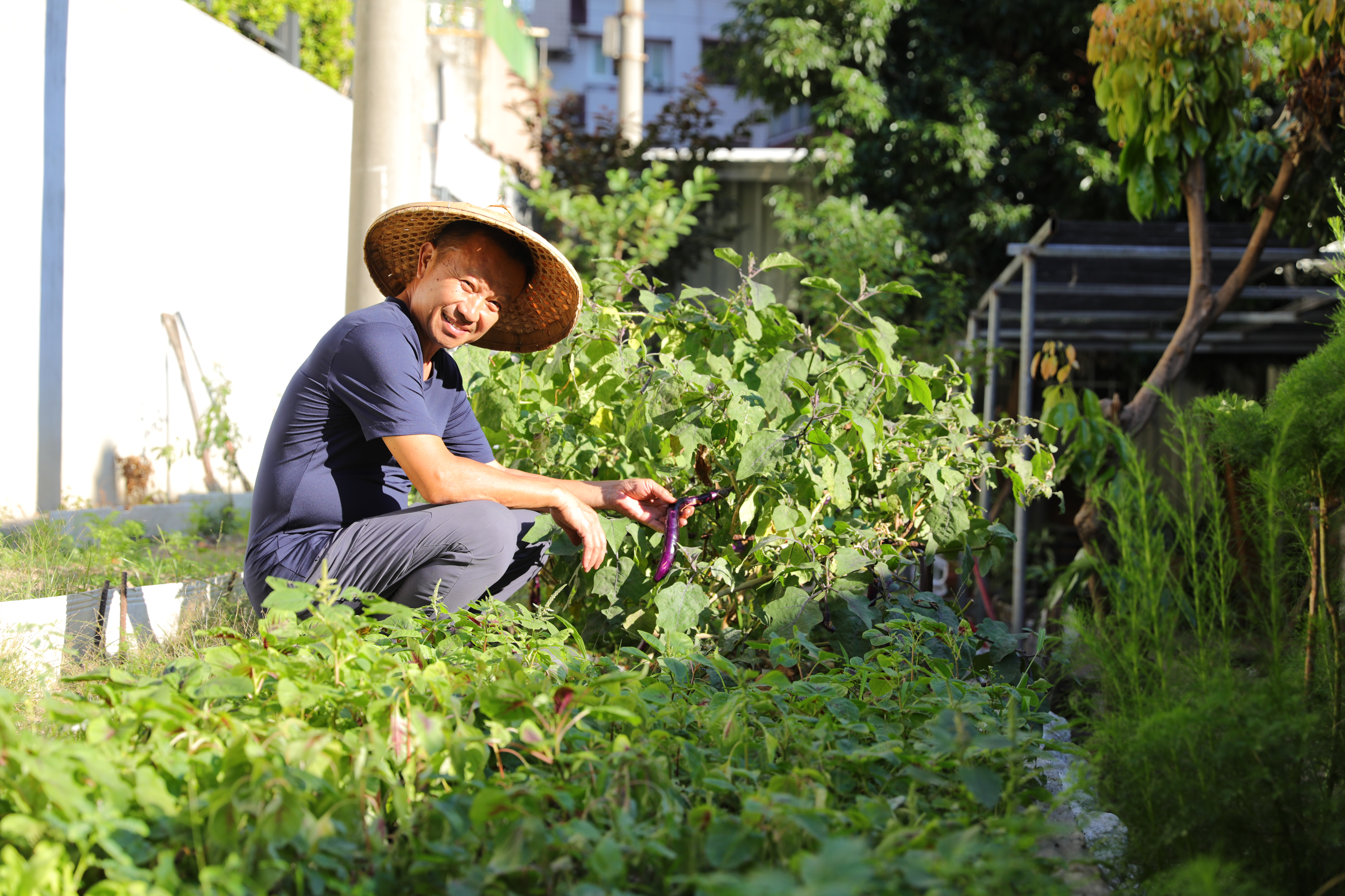 老闆何金定還在老宅後方開闢一畝菜園。