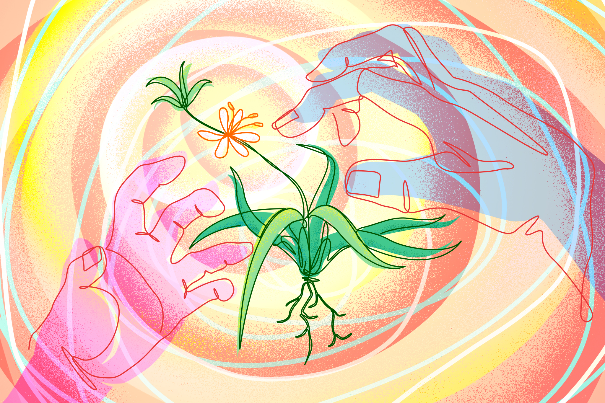 【詩】與植物溝通　喵球