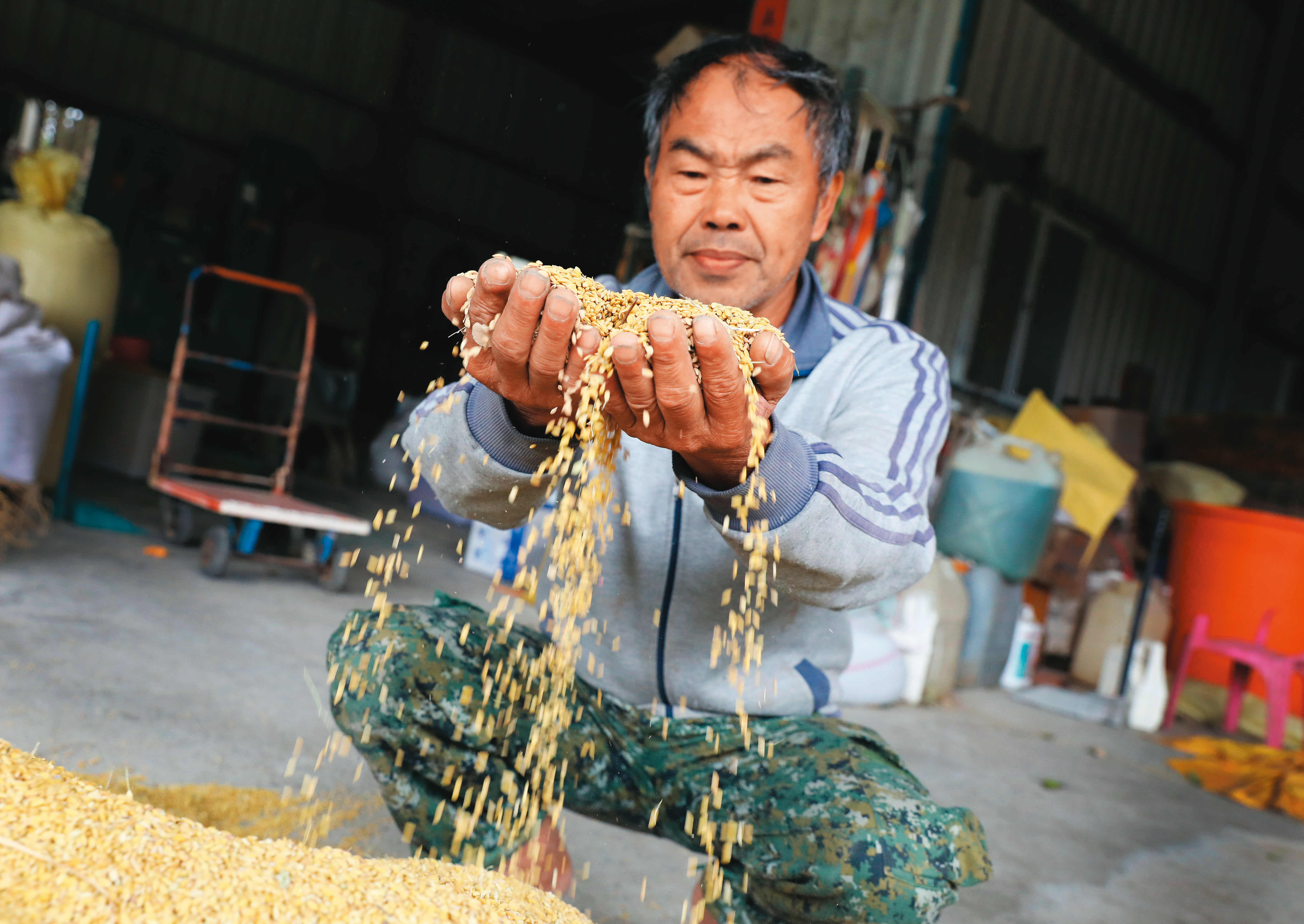 家住新竹竹北東海里的田守喜,在停灌時,靠著田邊一口廢棄水井,勉強救回1/3的稻米收成,但中間仍稍微中斷10天,他擔心米粒可能不如以往飽滿。