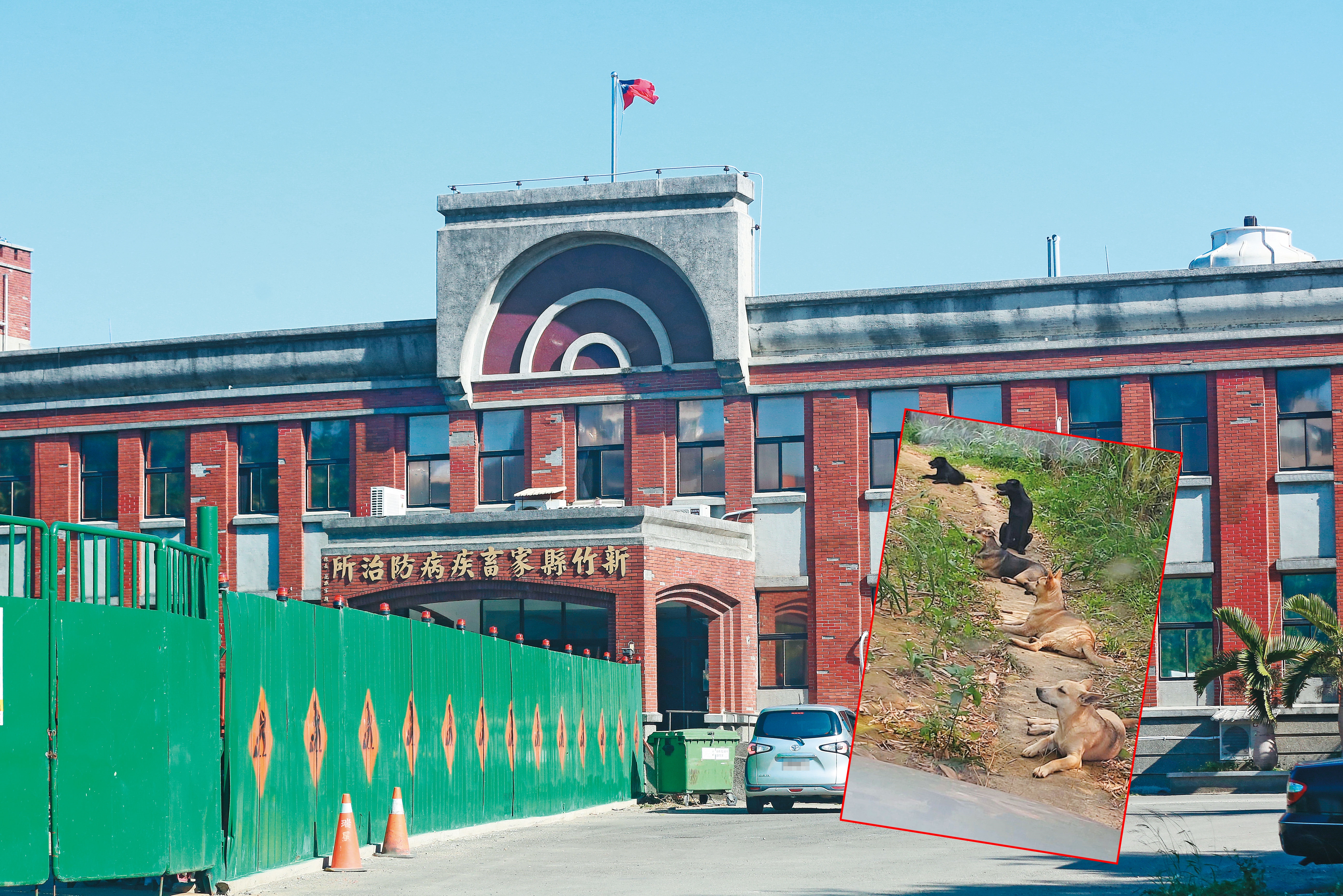 新竹縣動物收容所（位於圖中建築物後方）被控間接害死不少流浪狗。