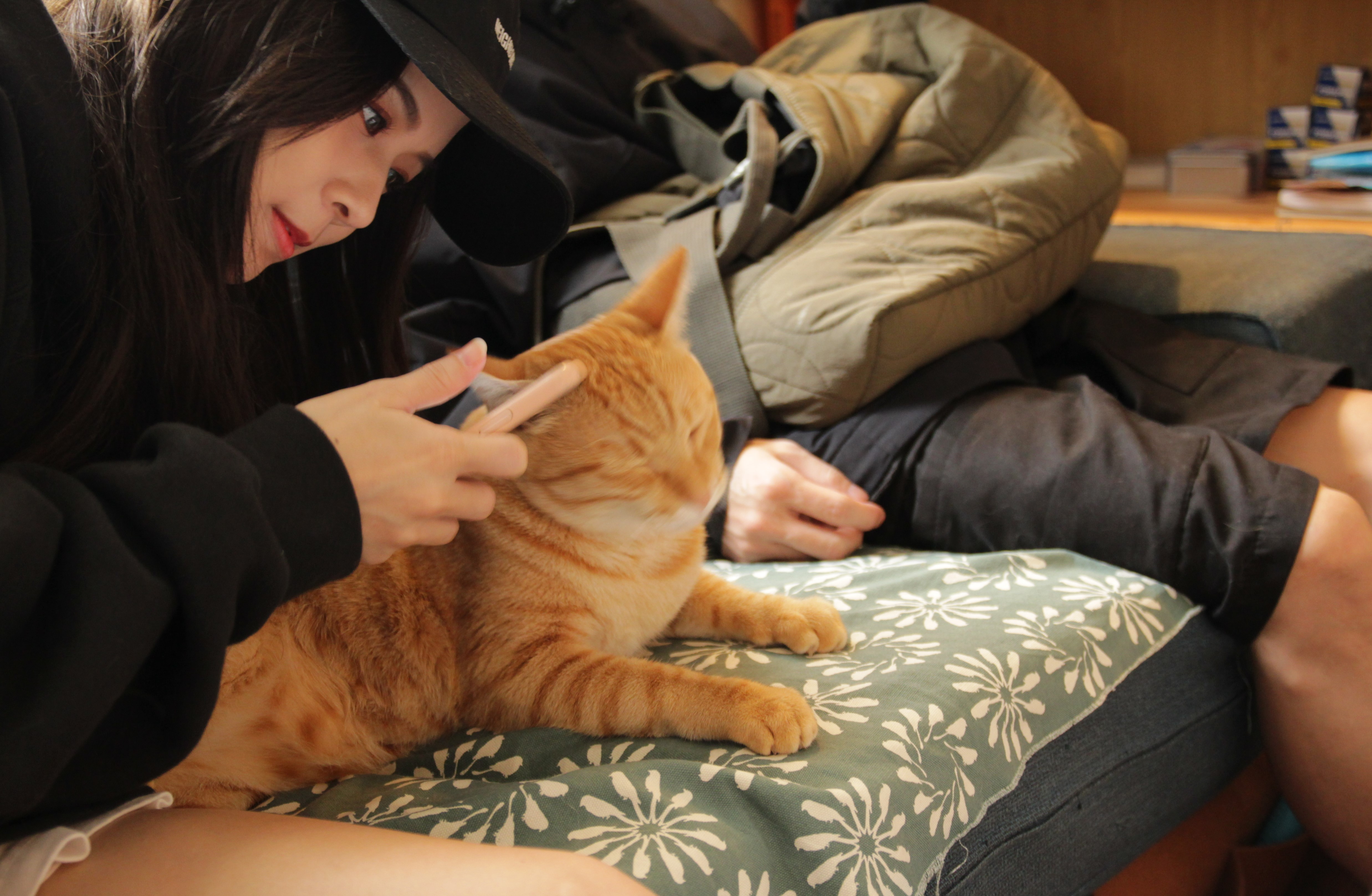 店貓阿金，也是不少客人來訪城五的重要原因之一。