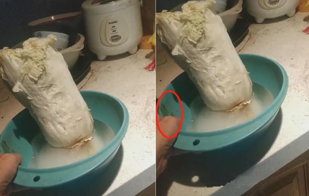 阿寶拍片分享失敗的料理經驗，廚房擺設卻成焦點。（翻攝自微博）