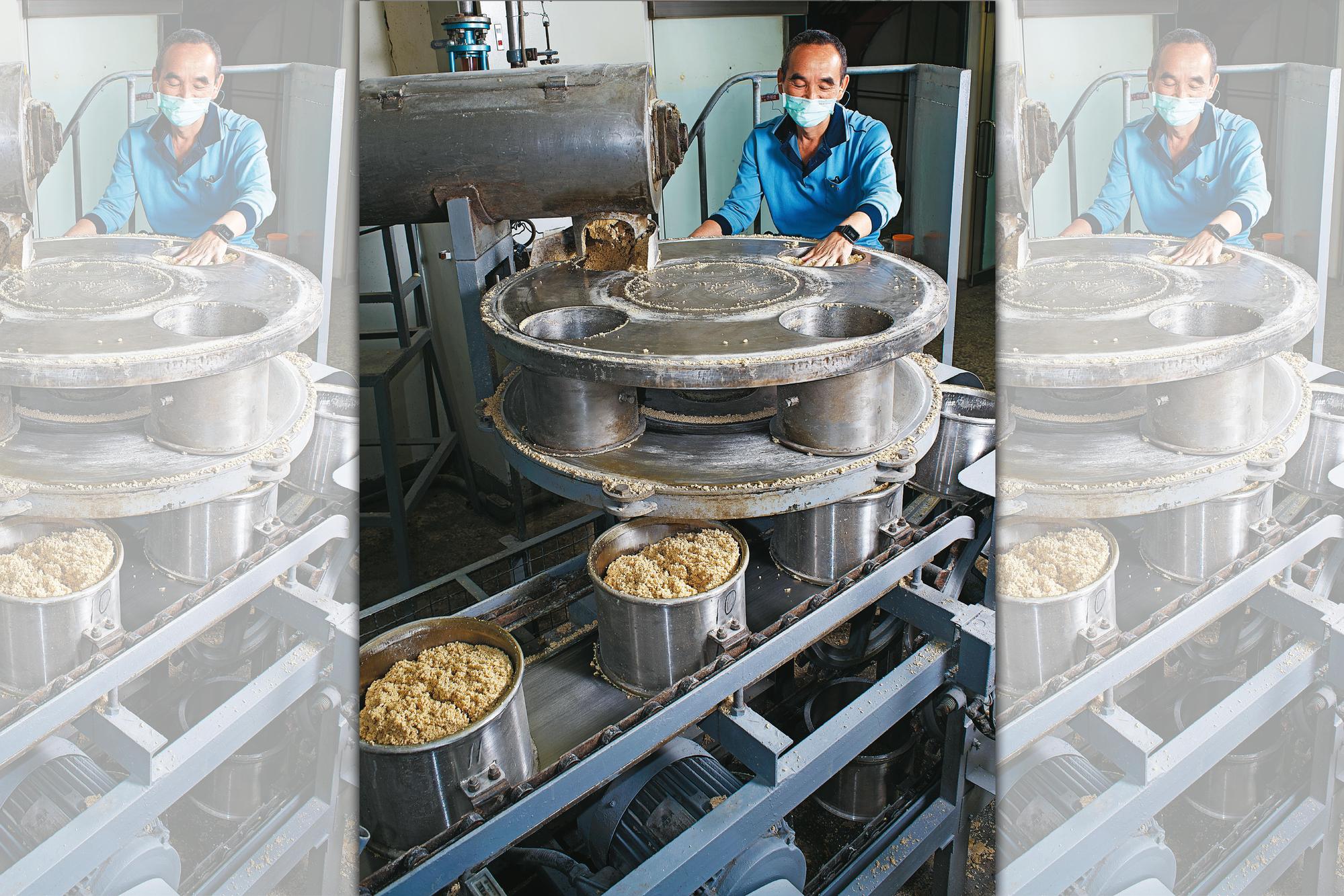 師傅正在製作圓形麴餅，壓製成型後送往麴室，讓麴菌在上頭成長，這是高粱風味的關鍵來源之一。麴餅原料是小麥，這也是高粱酒酒標上，原料標示寫著小麥的原因。