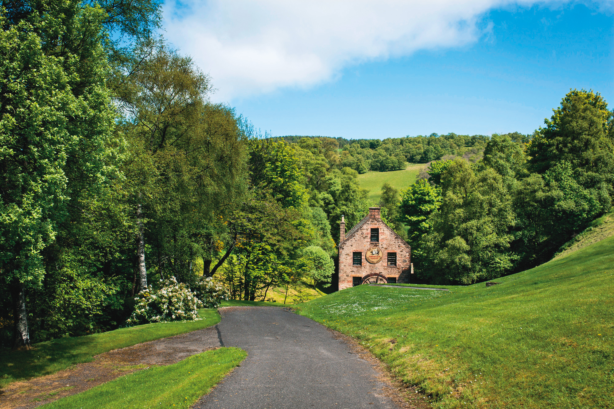 塔木嶺酒廠緊臨著利威河畔，詮釋經典斯貝賽細緻甜美風味，歷經關廠卻幸運保留「被遺忘的美好」高年分珍稀老酒。