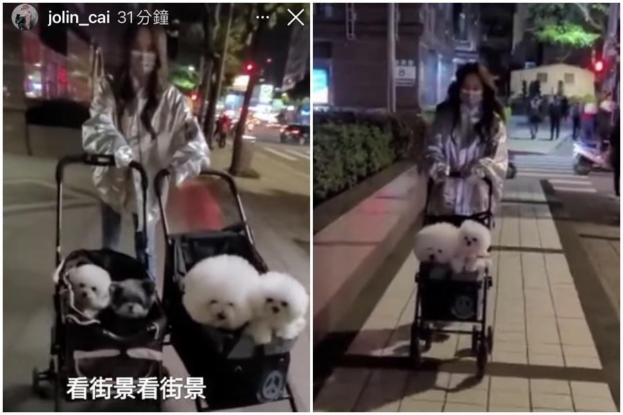 蔡依林無懼寒流襲台，一身時尚推著愛犬屋虎與社長出門散步。（翻攝自蔡依林IG）