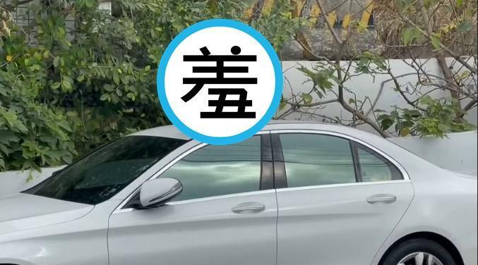 台灣獼猴選中賓士,在車頂上放飛自我。(翻攝自爆廢公社公開版)
