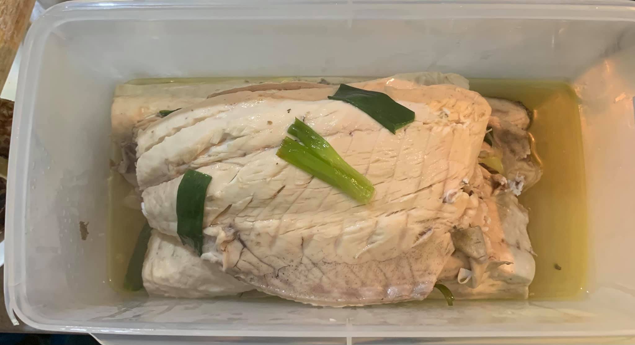 將魚片放入容器。