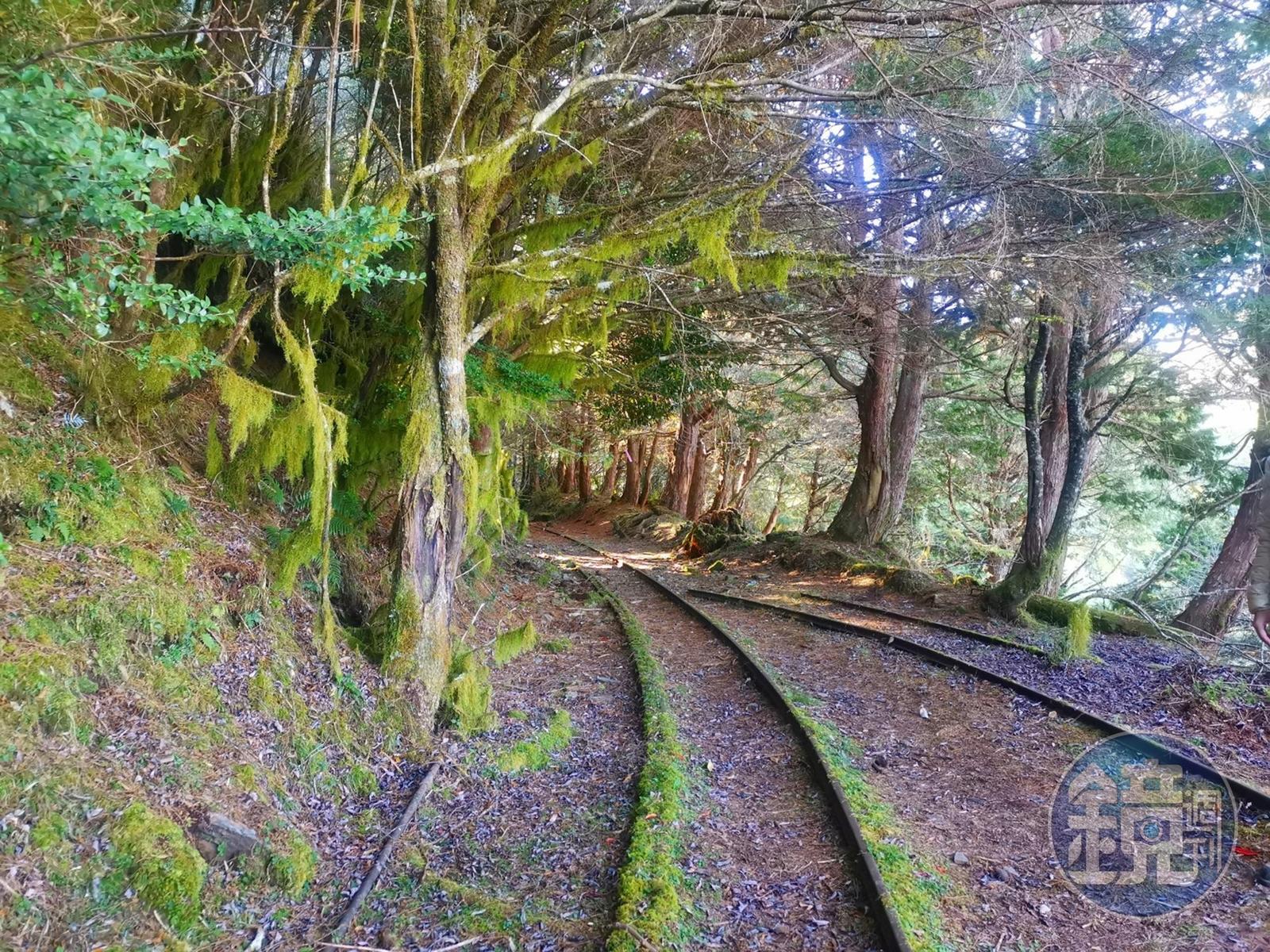 林田山鐵道高登線，另一頭前往高登工作站。