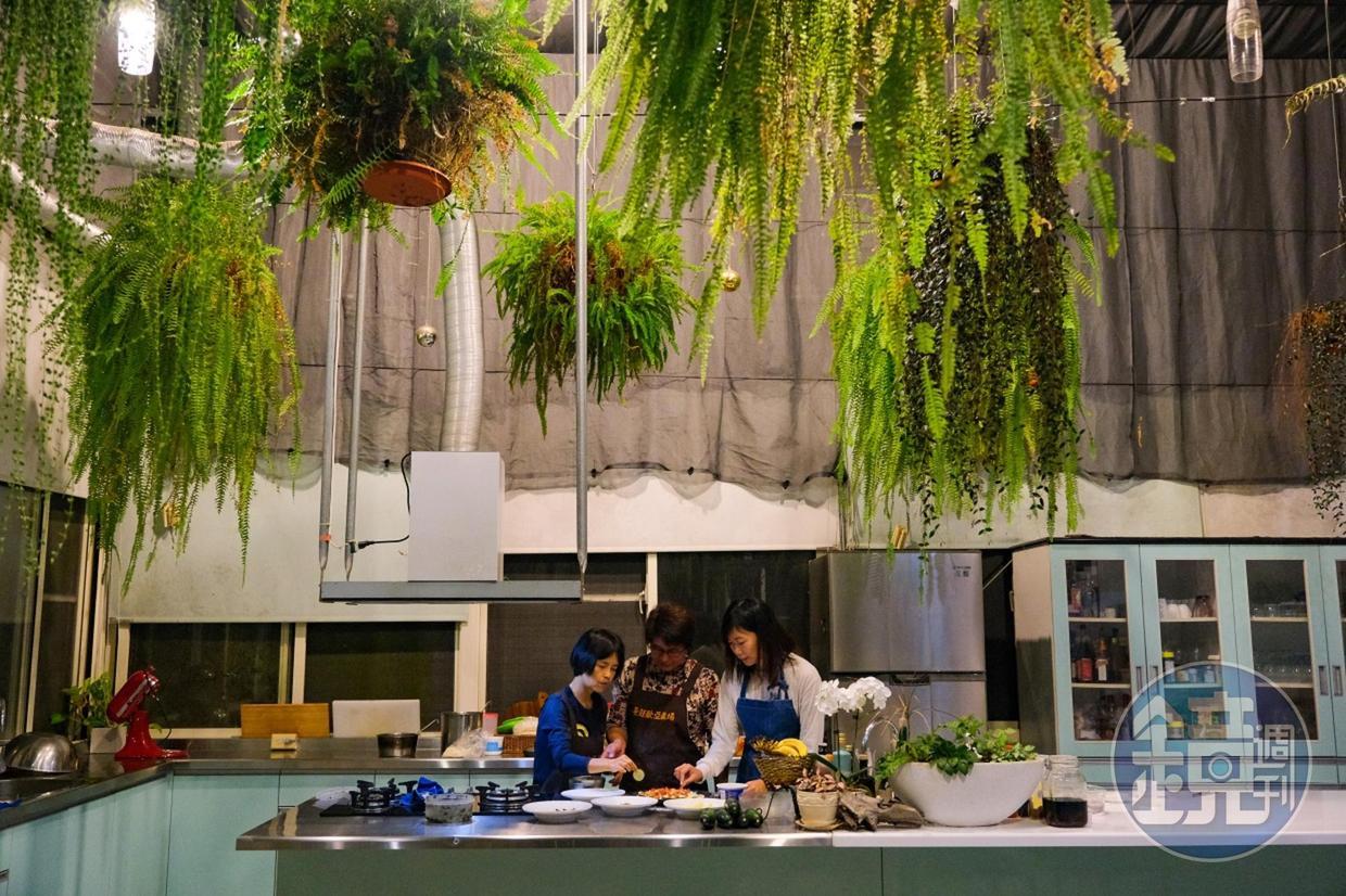 「晏廷歐亞農場」的料理廚房,垂吊蕨類植物,充滿綠意。