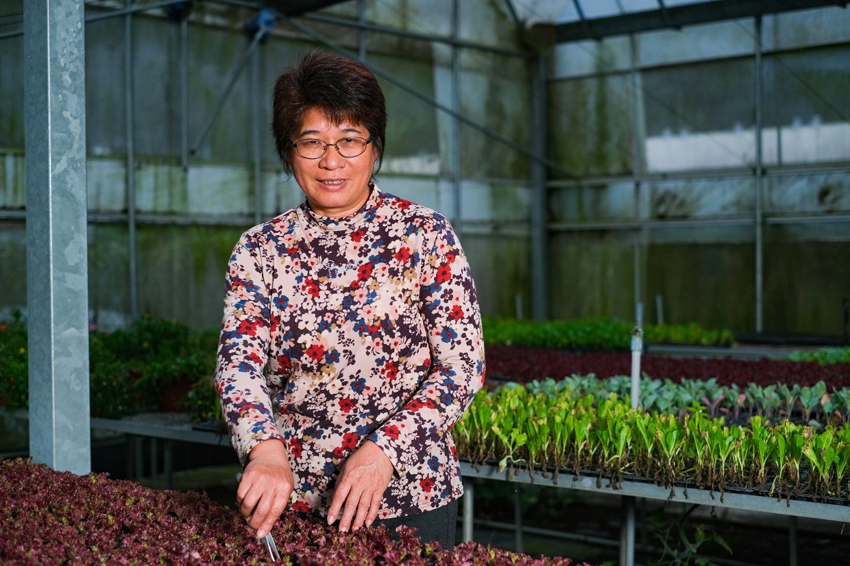 被稱為「生菜女王」的林晏廷,曾出版生菜及食用花食譜書籍。