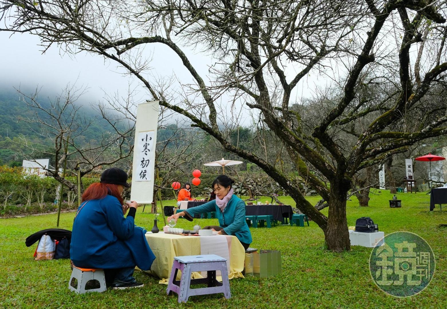 梅花季一到,不少茶藝協會專程來「國姓私房餐廳」梅園借場地、辦品茗活動。