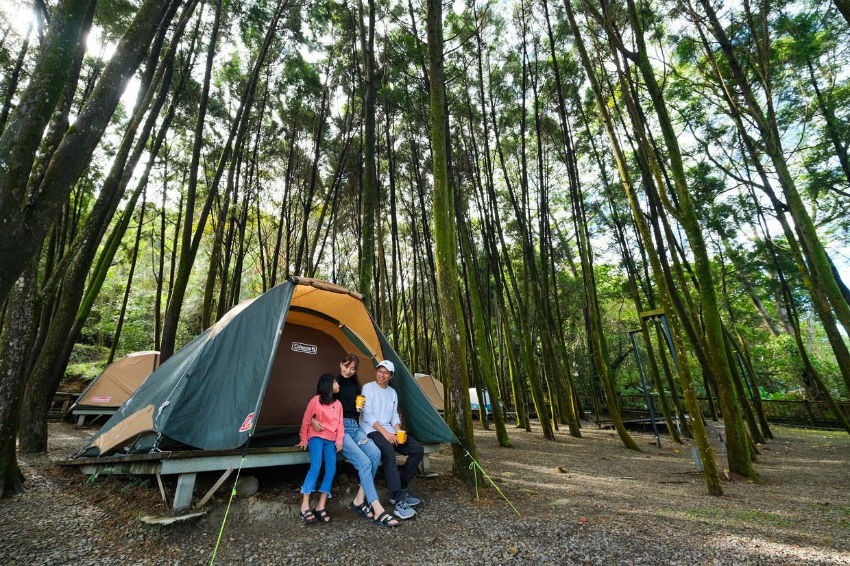 「覓境露營」在營地中刻意保留一片梢楠、樟樹和櫸木樹林。