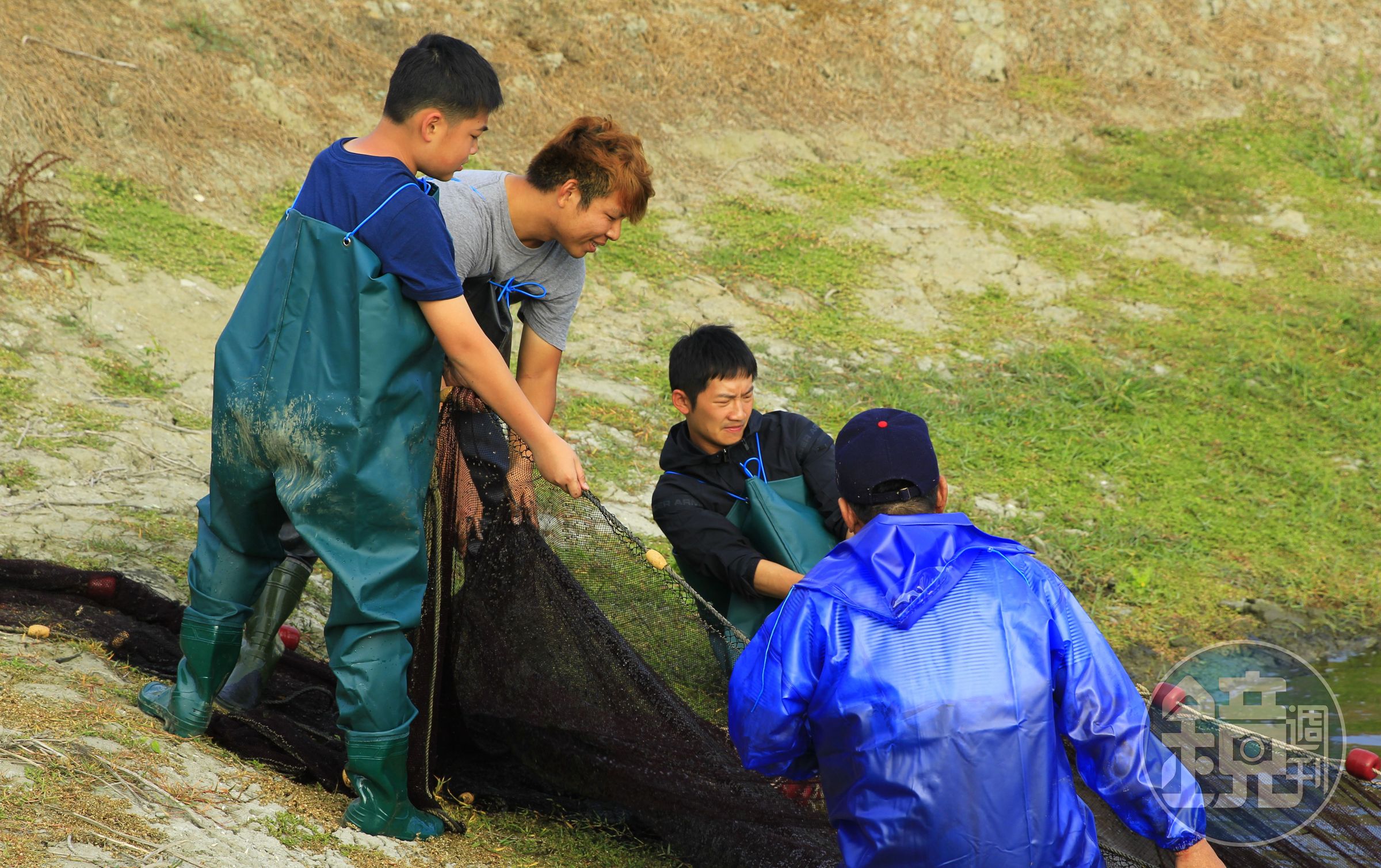 公視全新兒少節目《我家住海邊》探尋台灣即將消失傳統漁法，蔡昌憲(右二) 崩潰大喊：「我數學不好！」（公視提供）