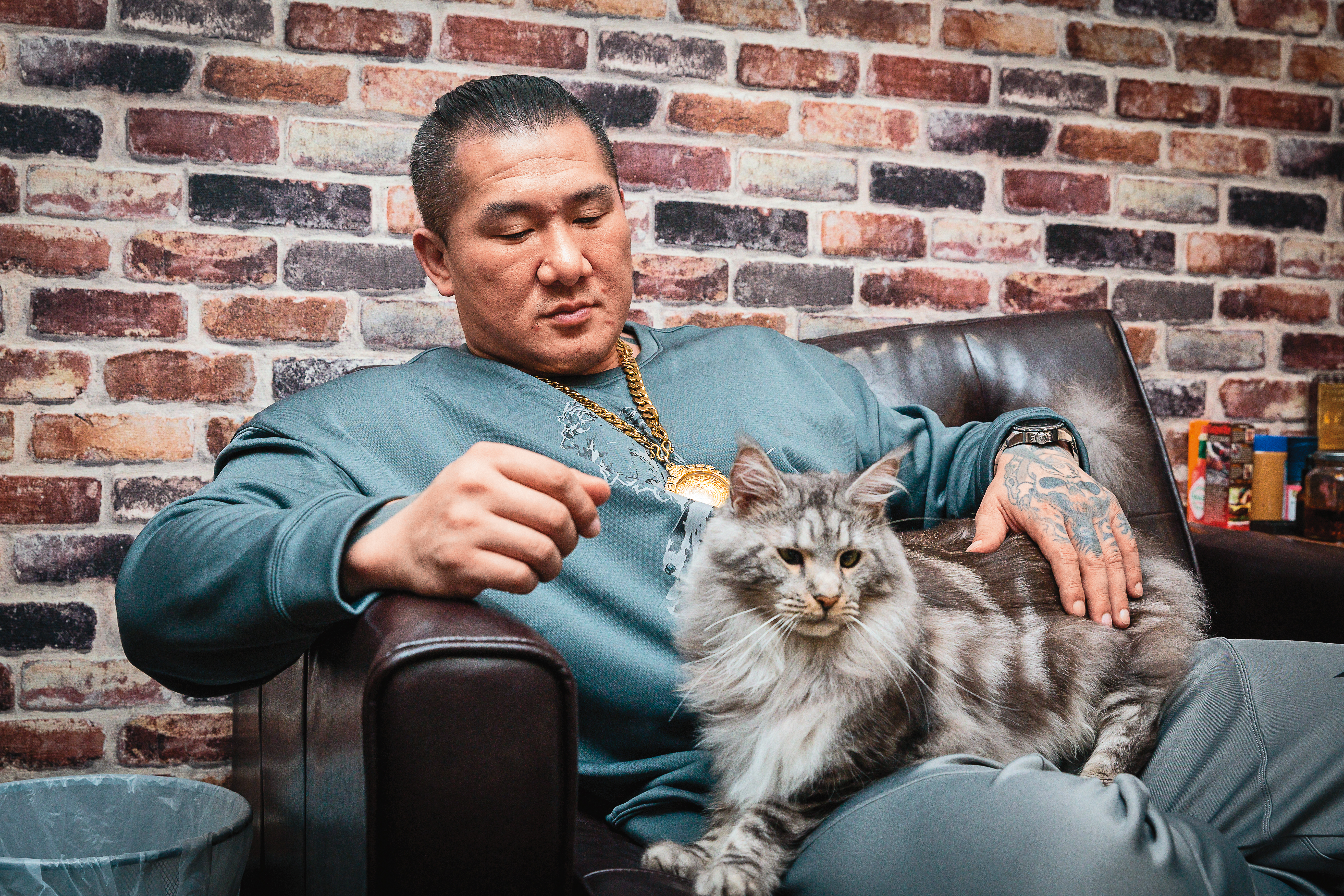 愛貓Rich出現在眼前，陳之漢瞬間變身溫柔漢。