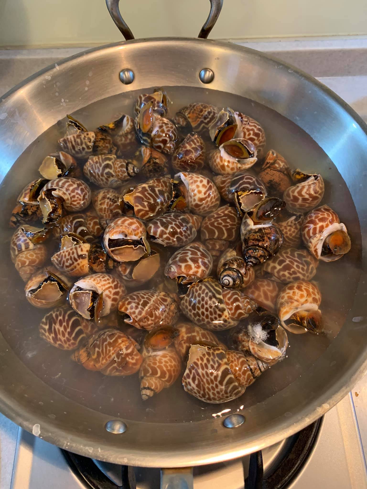 汆燙鳳螺。