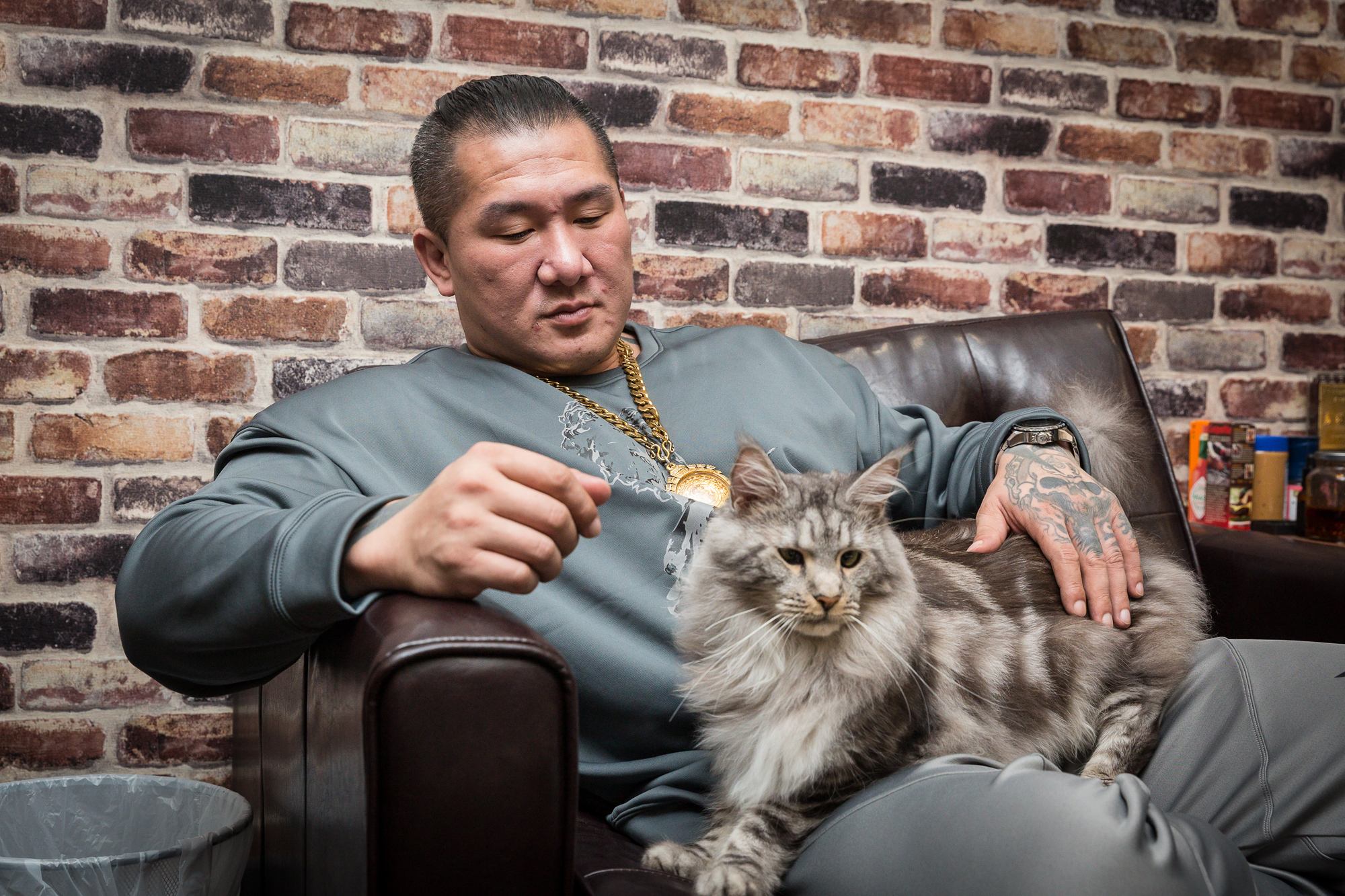 陳之漢遇上愛貓Rich就沒轍，想要摸牠還得看貓咪心情。