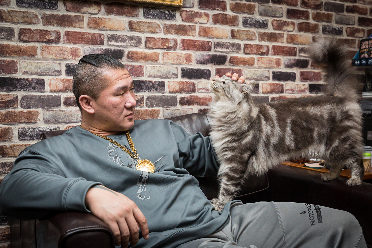 陳之漢變貓奴主要是因為老婆喜歡貓，現在也養了11隻貓。