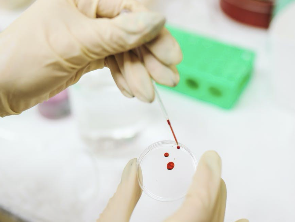 研發新藥平均時間為10-12年，且需投入大量資金與心力。（Pexels）