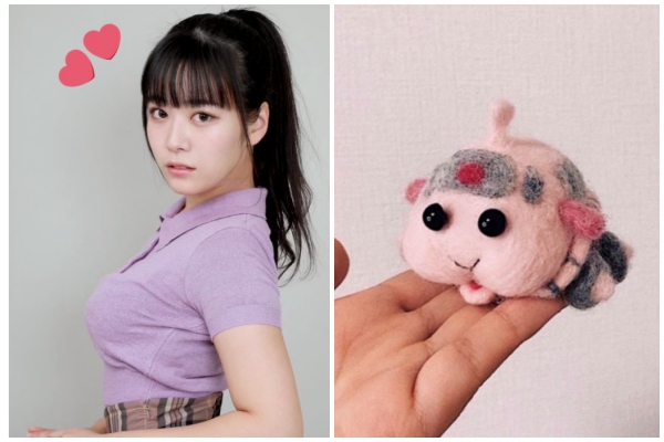 G級寫真女星也跟風　巧手DIY《天竺鼠車車》羊毛氈萌翻了