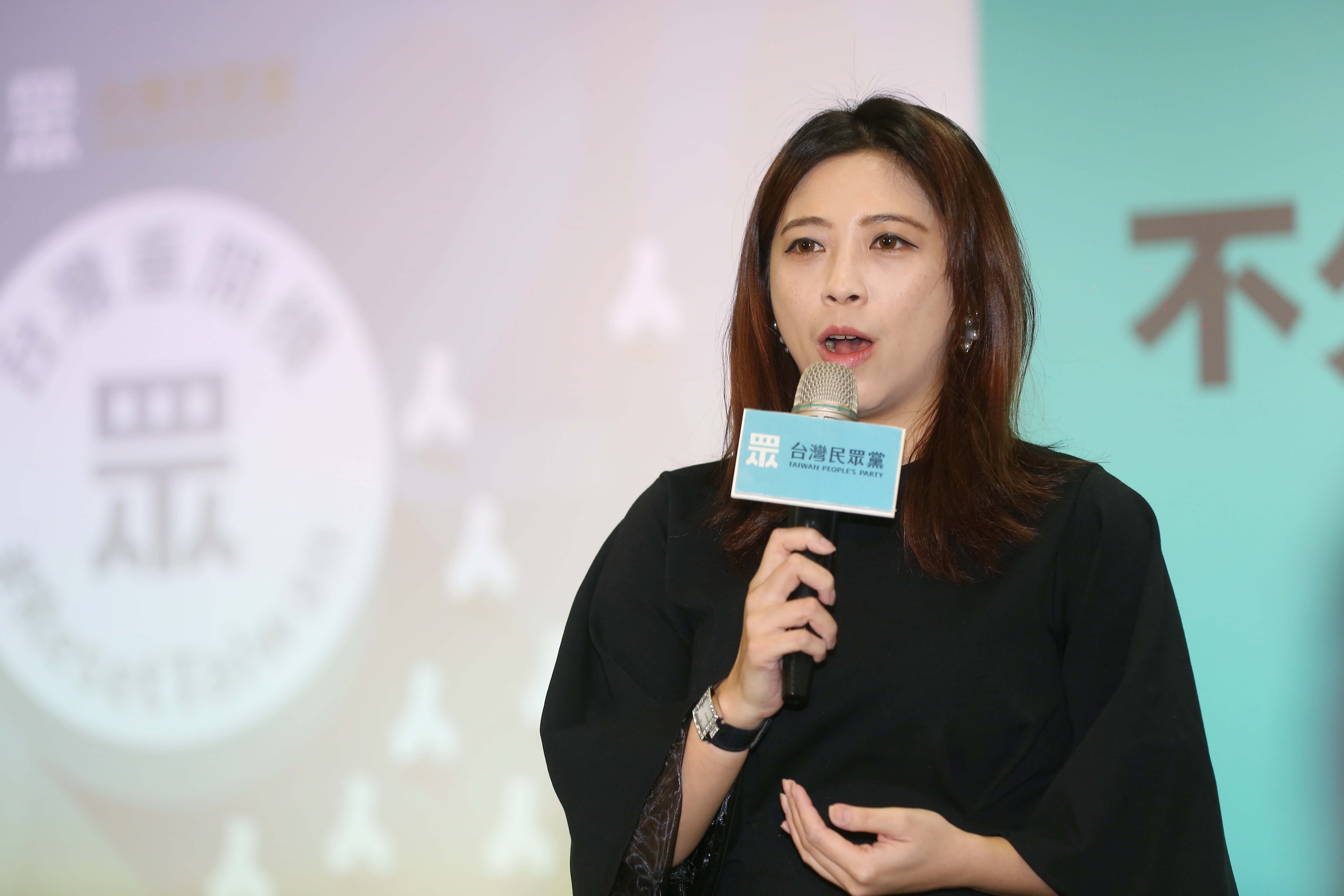 民眾黨陳思宇拿桃機廢標一事開轟桃園市政府，引發議論。（資料照）